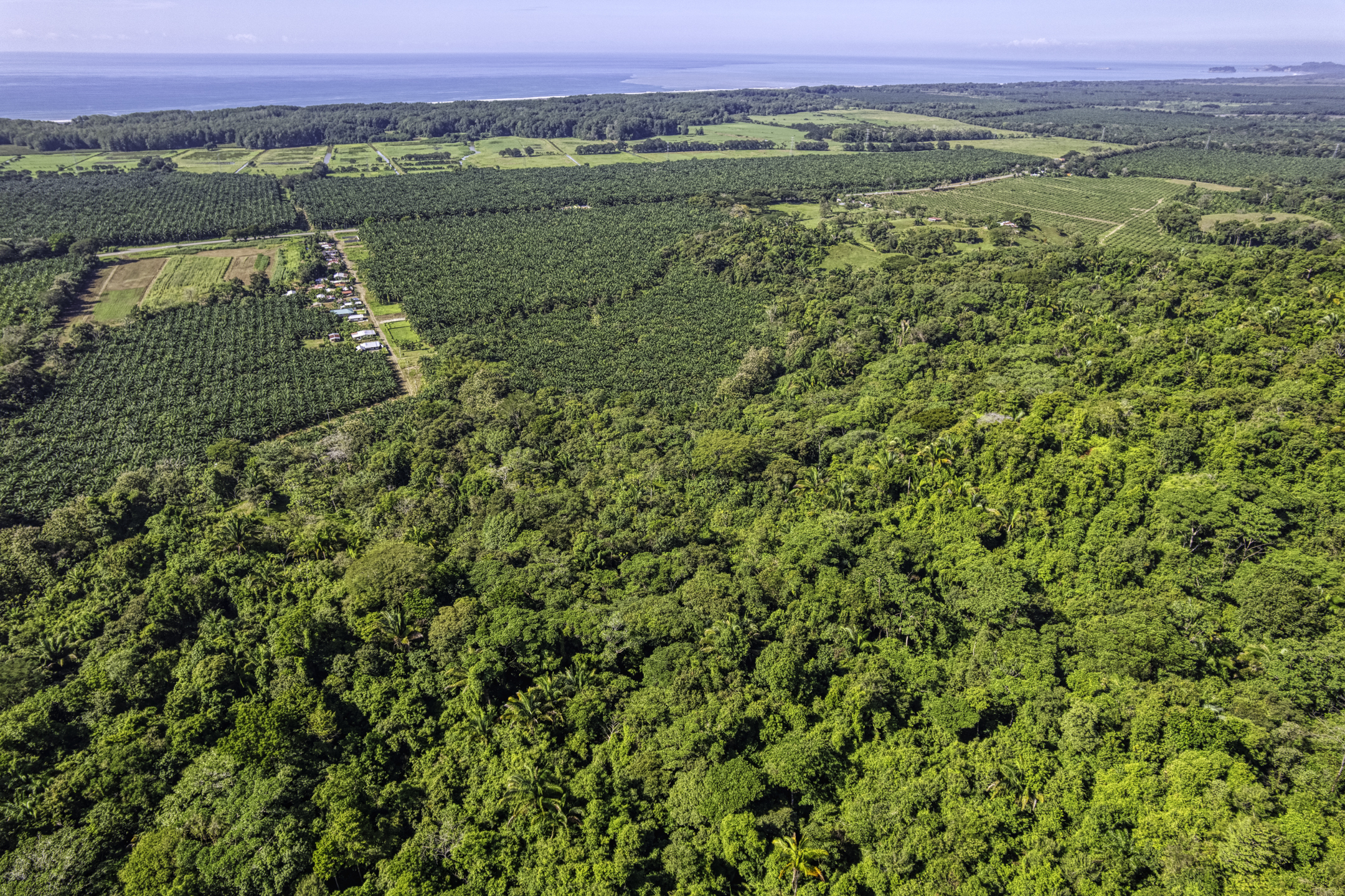 Portalon, Dominical, Puntarenas, CR, ,Land,For Sale,Portalon,1586164