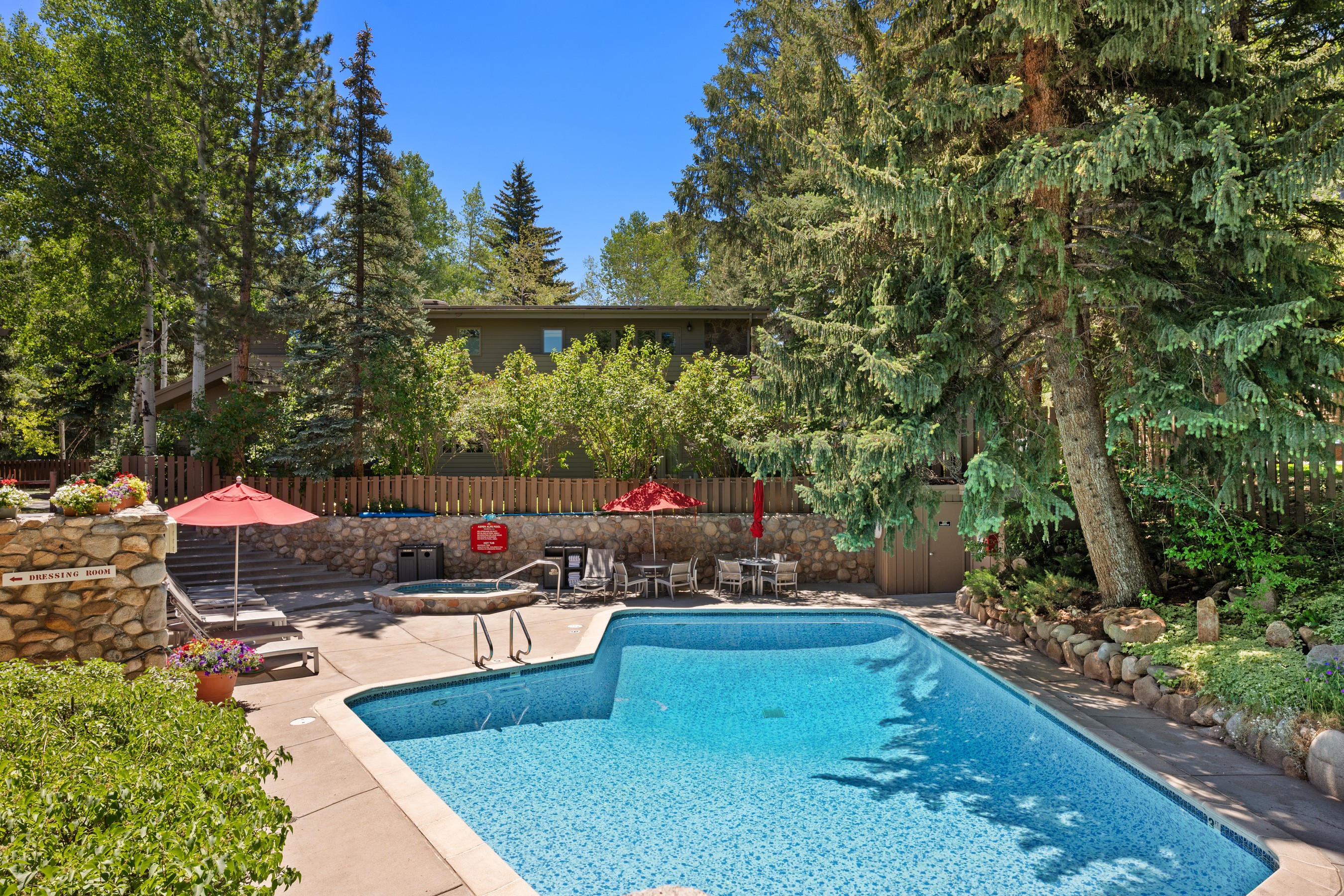  700 Ute Avenue, Aspen, CO, 81611 - 物件實景