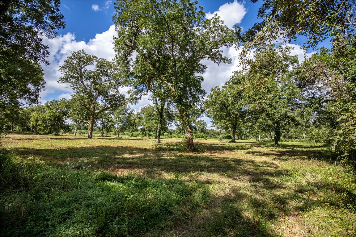 Cuero, Texas, 77954, United States, ,Residential,For Sale,1946988