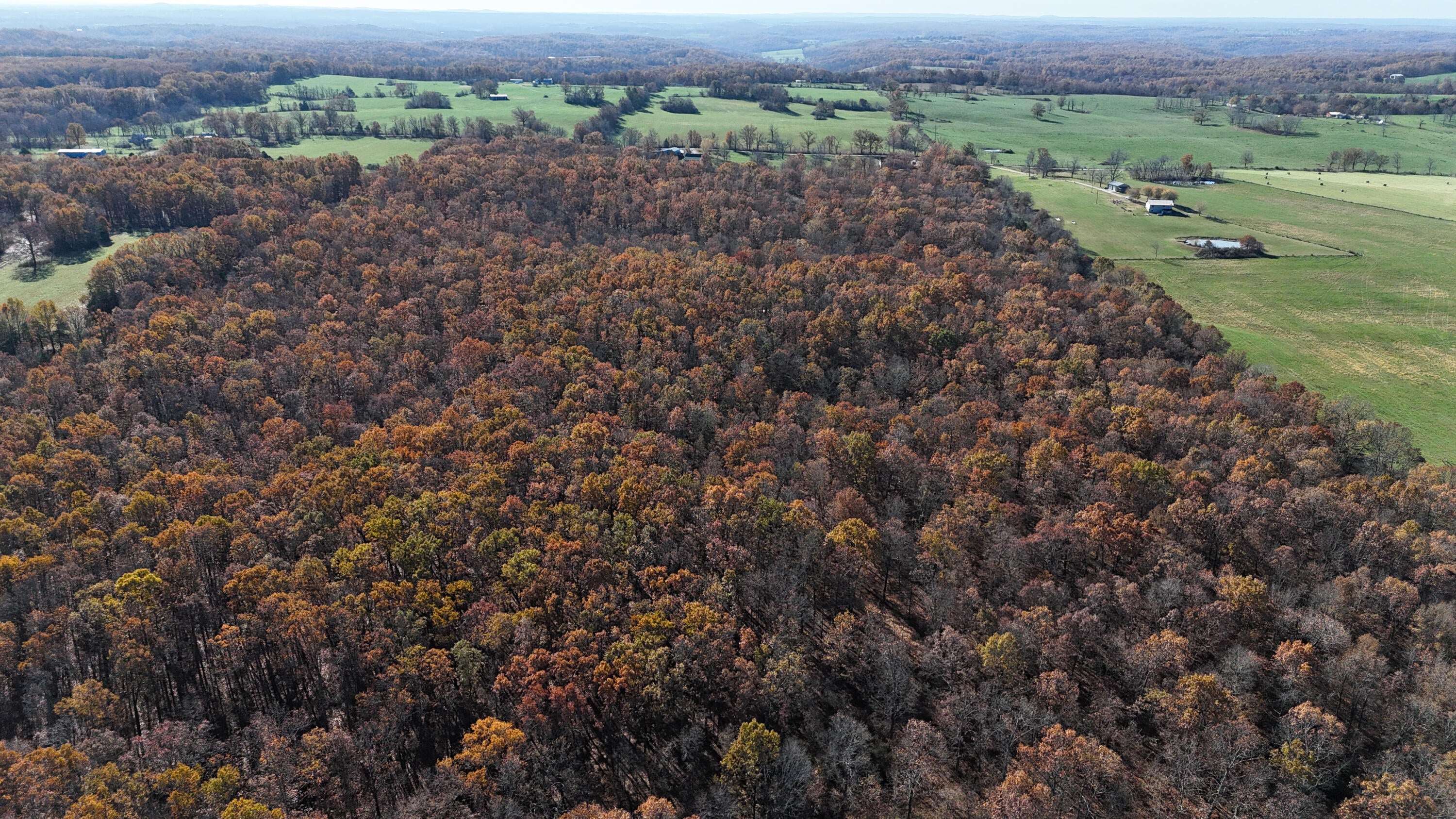 Norwood, Missouri, 65717, United States, 3 Bedrooms Bedrooms, ,3 BathroomsBathrooms,Residential,For Sale,2005497