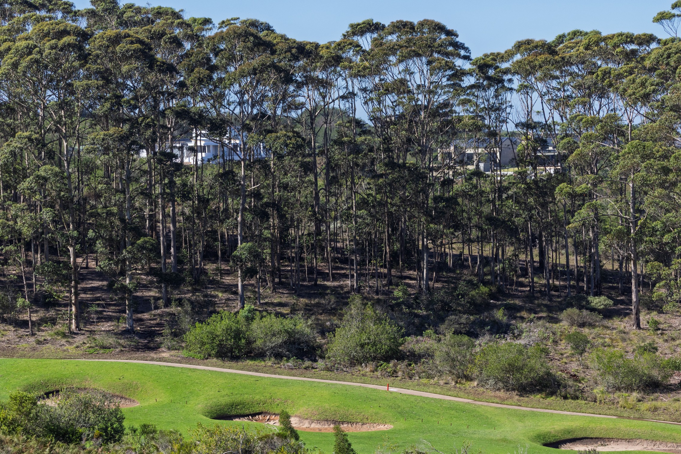  33 Dunnage Drive, Pezula Golf Estate - 物件實景