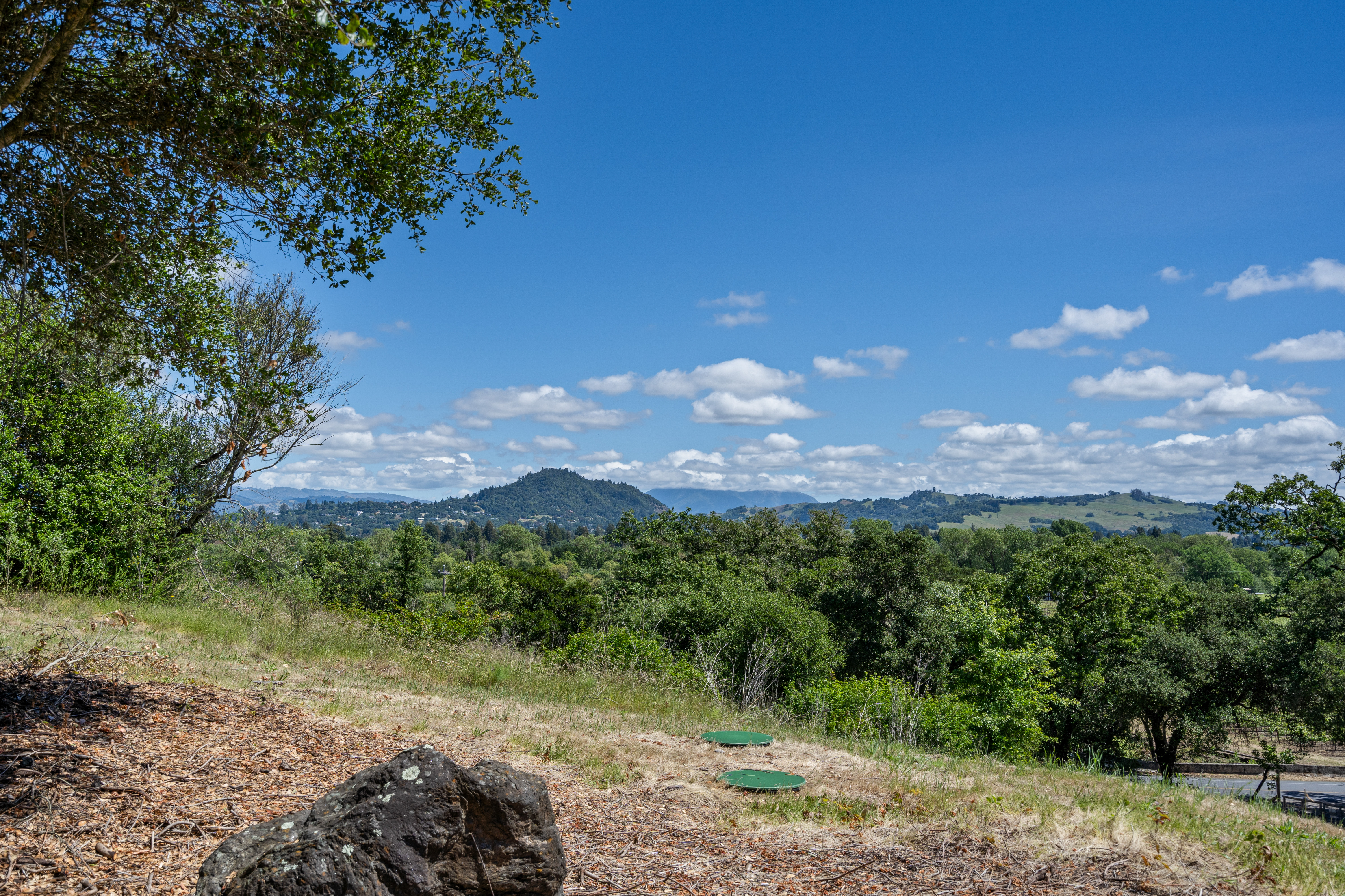  1077 Westside Road, Healdsburg, CA 95448 - 物件實景