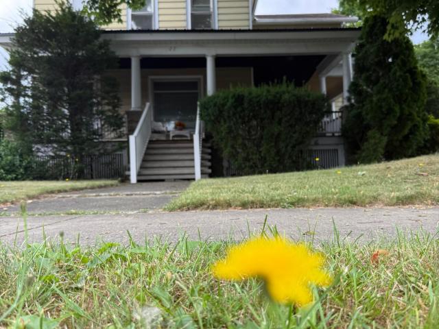 Carver St, Warren, PA 16365 #1