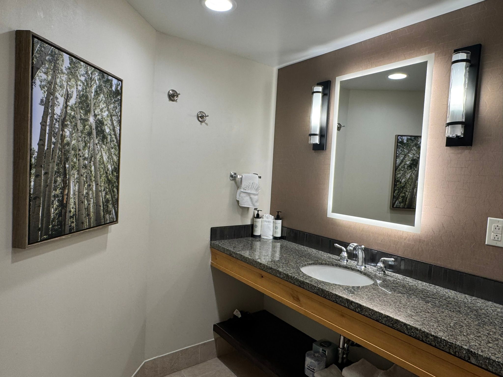  2300 Mount Werner Circle Unit 301QIVA&B, Steamboat Springs, CO 80487 - 物件實景