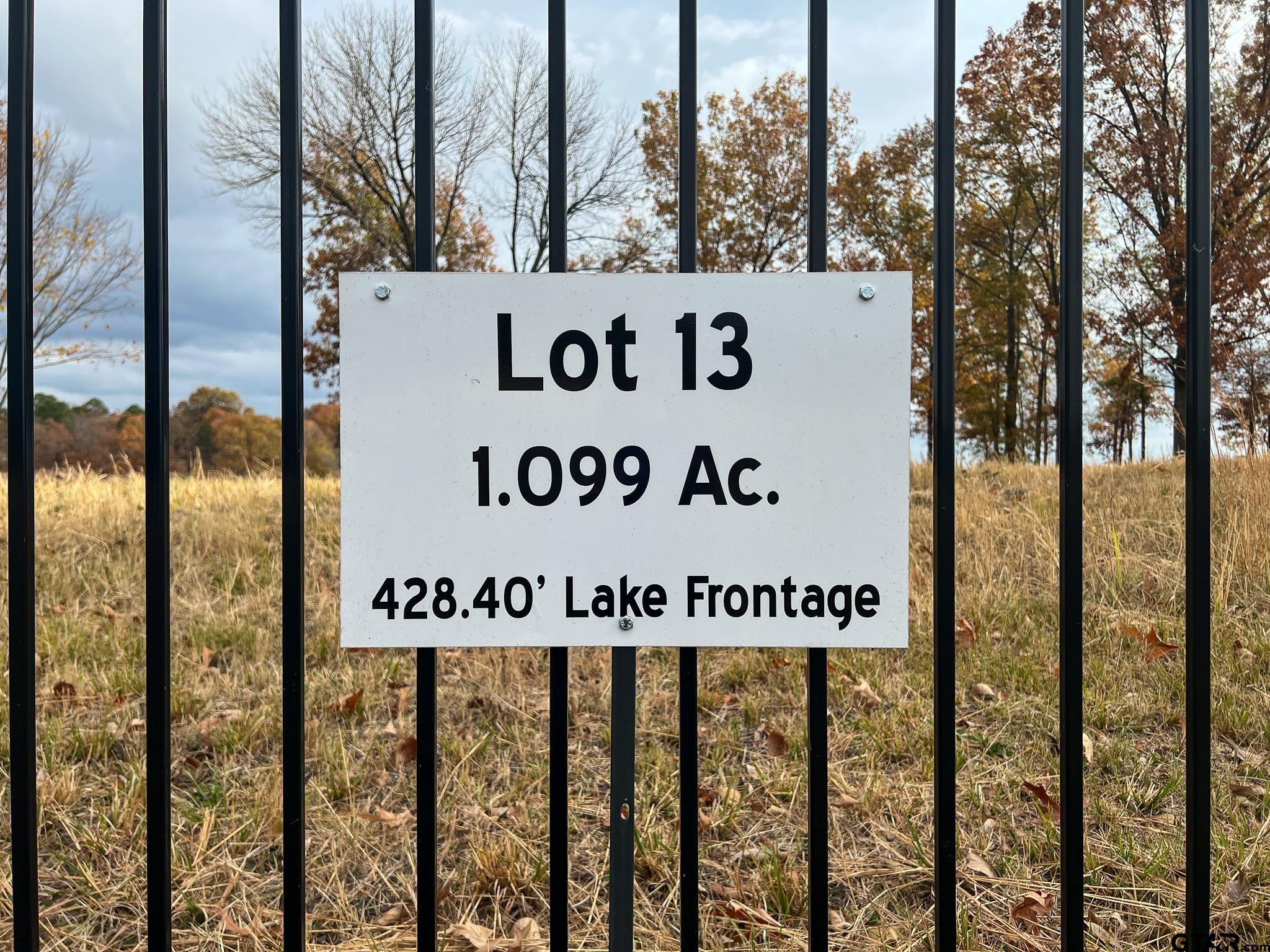 Lot 13 Eagle's Nest Drive, Mt Vernon, Texas, 75457, United States, ,Residential,For Sale,Lot 13 Eagle's Nest Drive,1191814