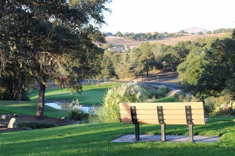 Valley Springs, California, 95252, United States, 3 Bedrooms Bedrooms, ,3 BathroomsBathrooms,Residential,For Sale,2005908