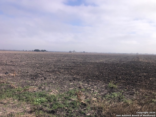 Seguin, Texas, 78155, United States, ,Land,For Sale,1981950