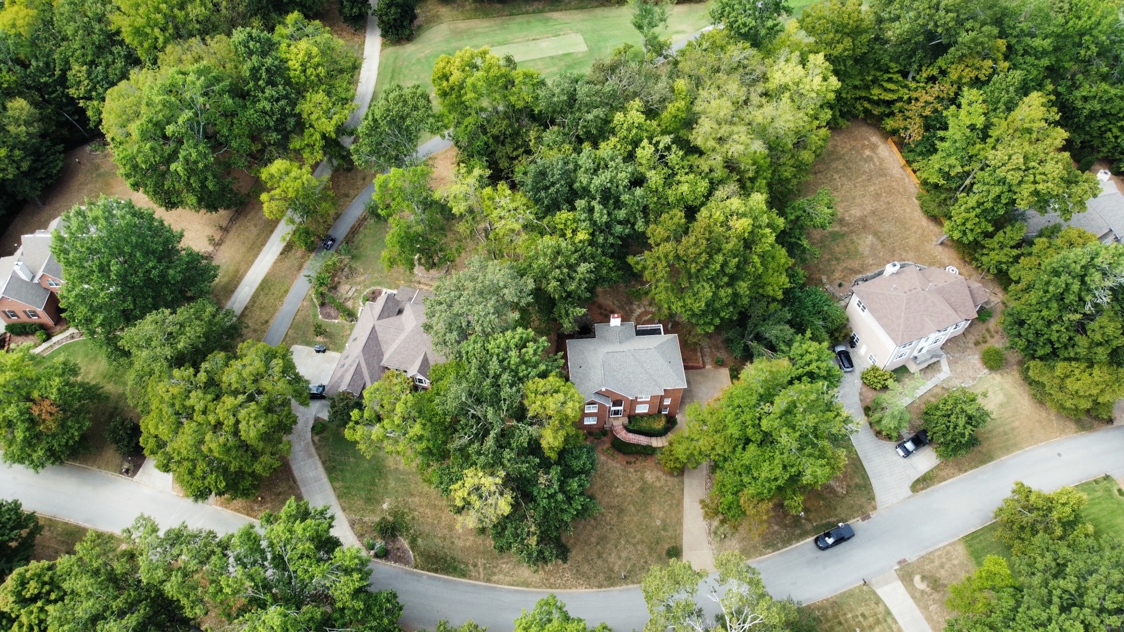  156 North Berwick Lane, Franklin, TN 37069 - 物件實景