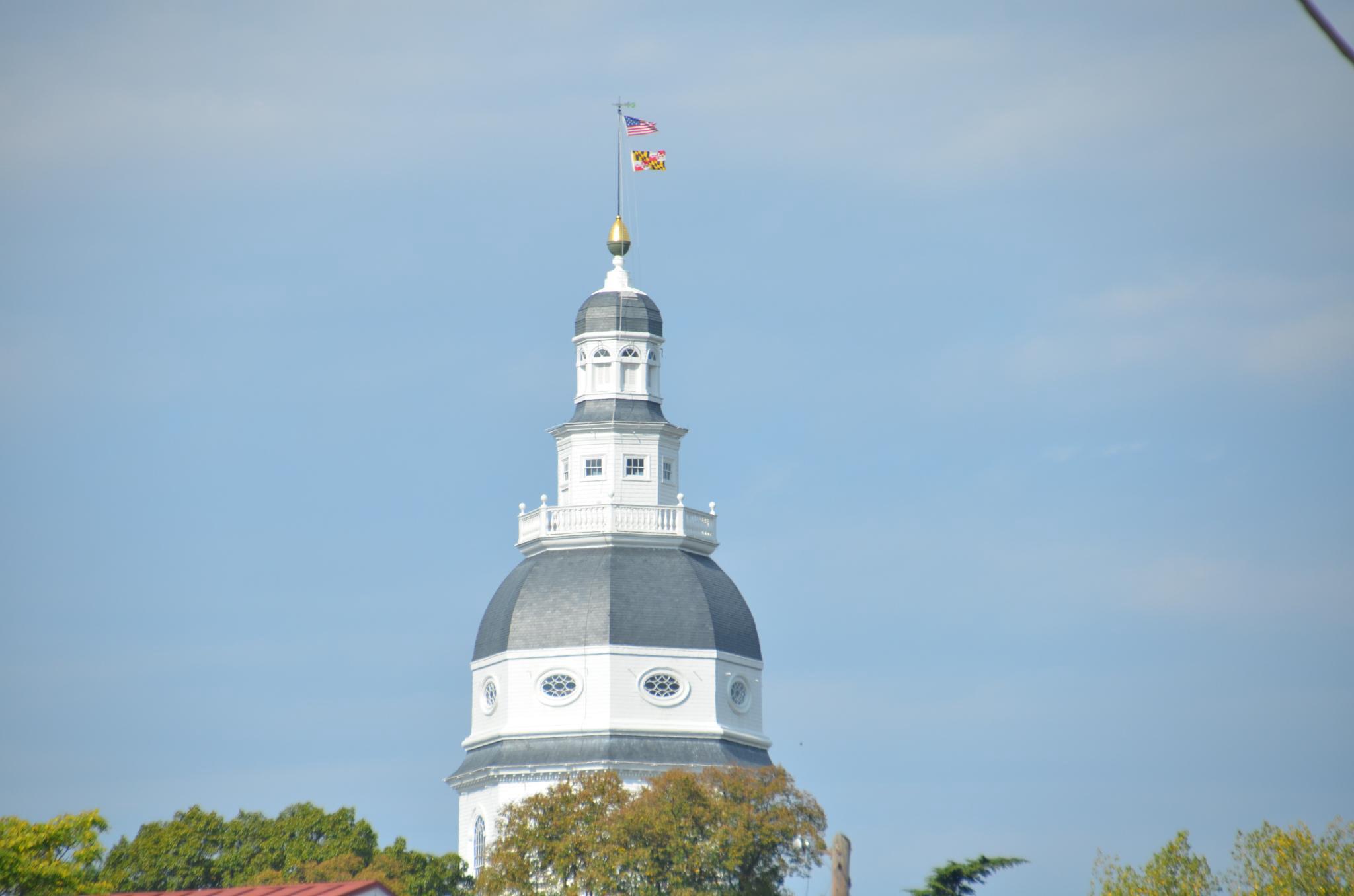  34 Pinkney Street, Annapolis, MD, 21401 - 物件實景