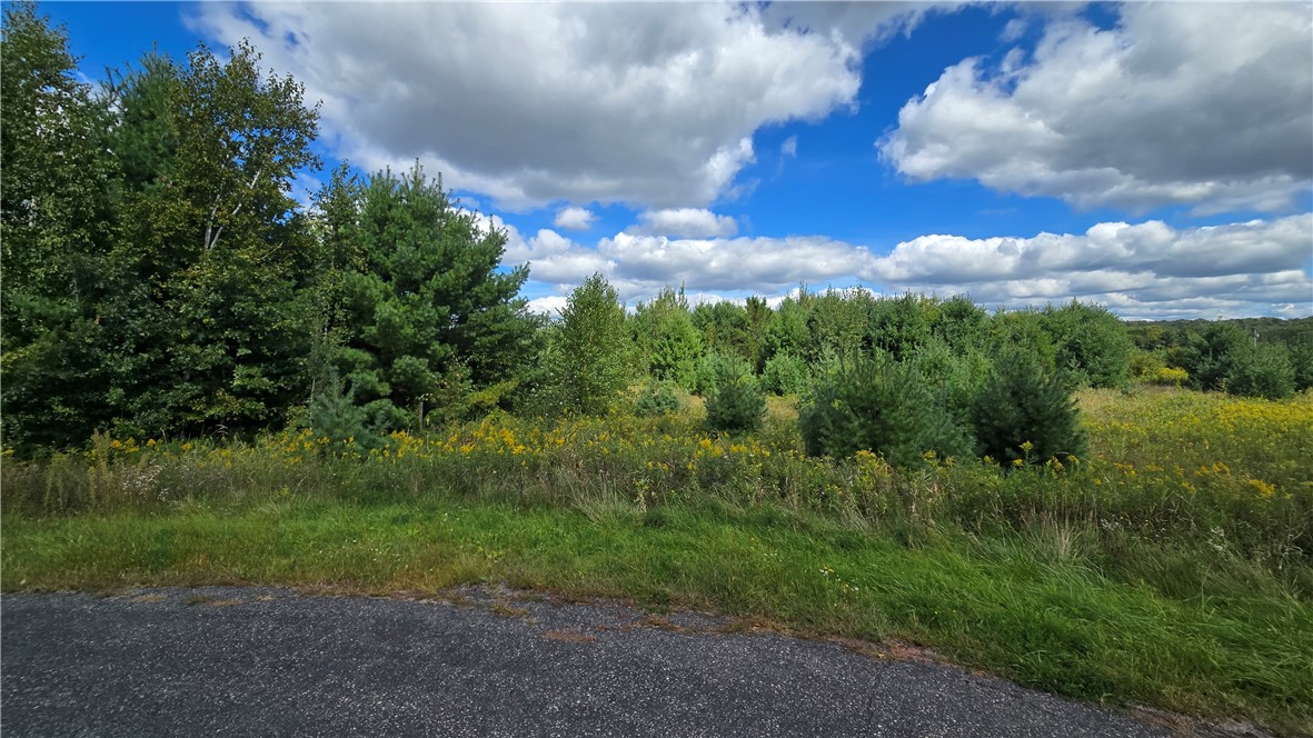 Chippewa Falls, Wisconsin, 54729, United States, ,Land,For Sale,1941721