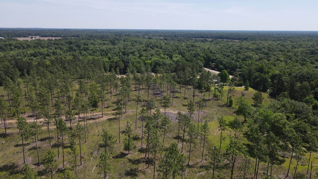 Cottonwood, Alabama, 36320, United States, ,Land,For Sale,1840022
