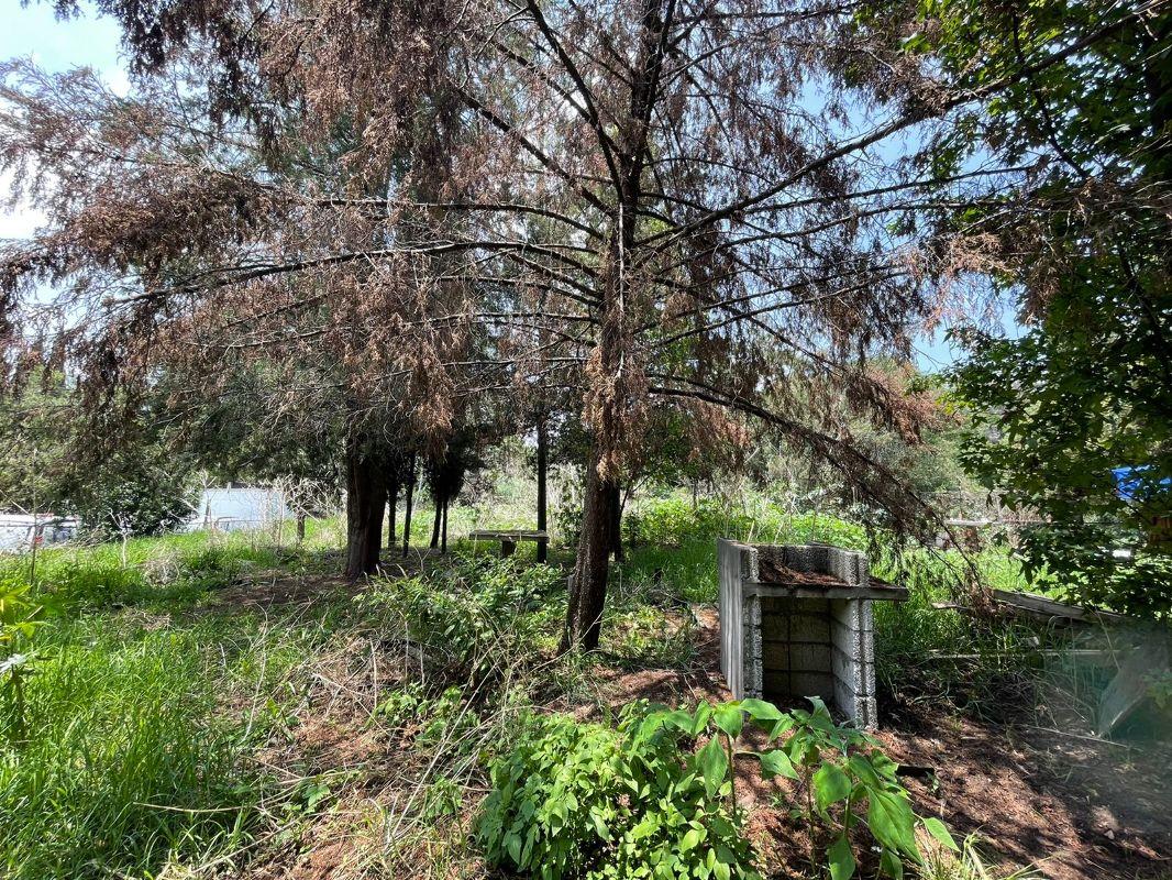 Segunda Cerrada de Leandro Valle, Tlalnepantla de Baz, Estado de México, 54040, Mexico, 1 Bedroom Bedrooms, ,Residential,For Sale,Segunda Cerrada de Leandro Valle,1622888