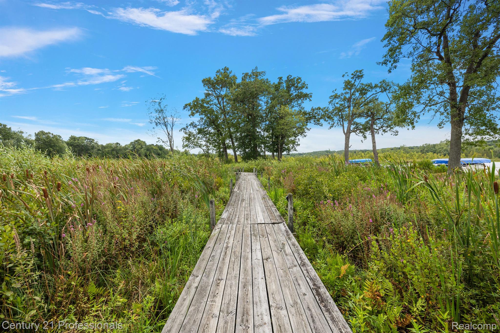 Davisburg, Michigan, 48350, United States, 5 Bedrooms Bedrooms, ,4 BathroomsBathrooms,Residential,For Sale,1978362