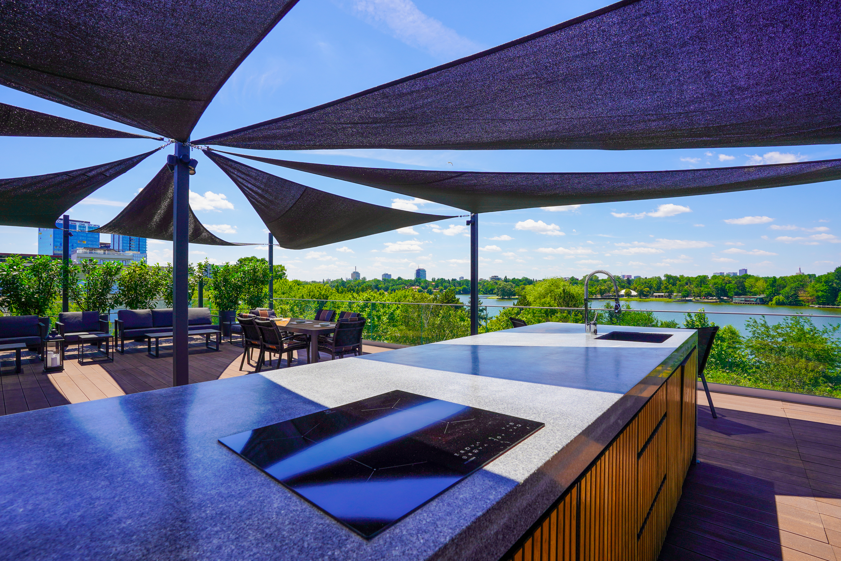  Rare Villa Overlooking Lake Floreasca - 物件實景