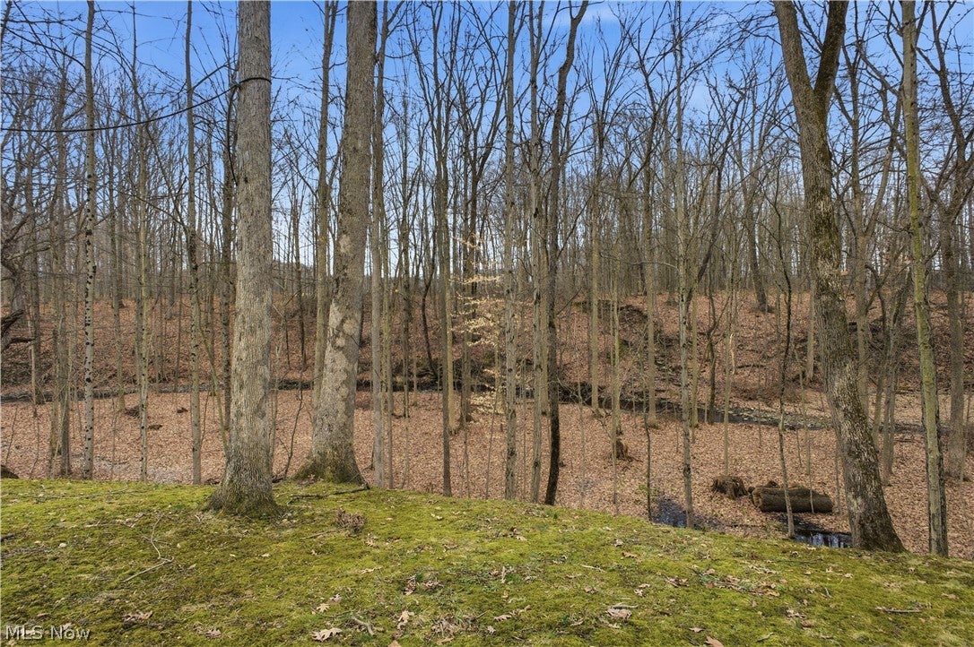 Orwell, Ohio, 44076, United States, 4 Bedrooms Bedrooms, ,3 BathroomsBathrooms,Residential,For Sale,2025807