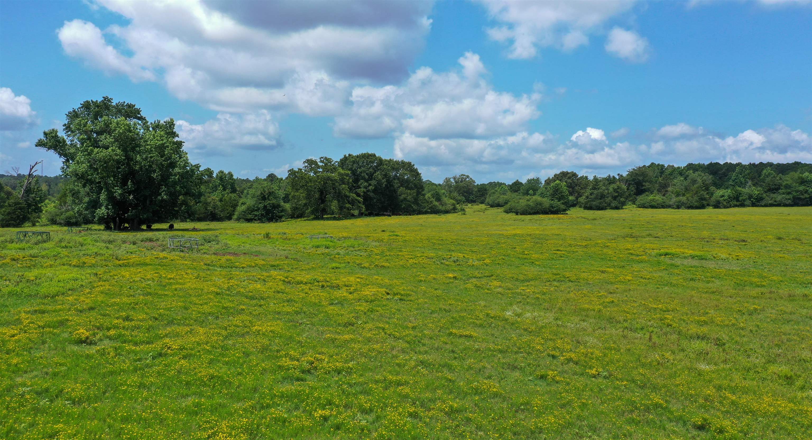 Linden, Texas, 75563, United States, ,Land,For Sale,1975448