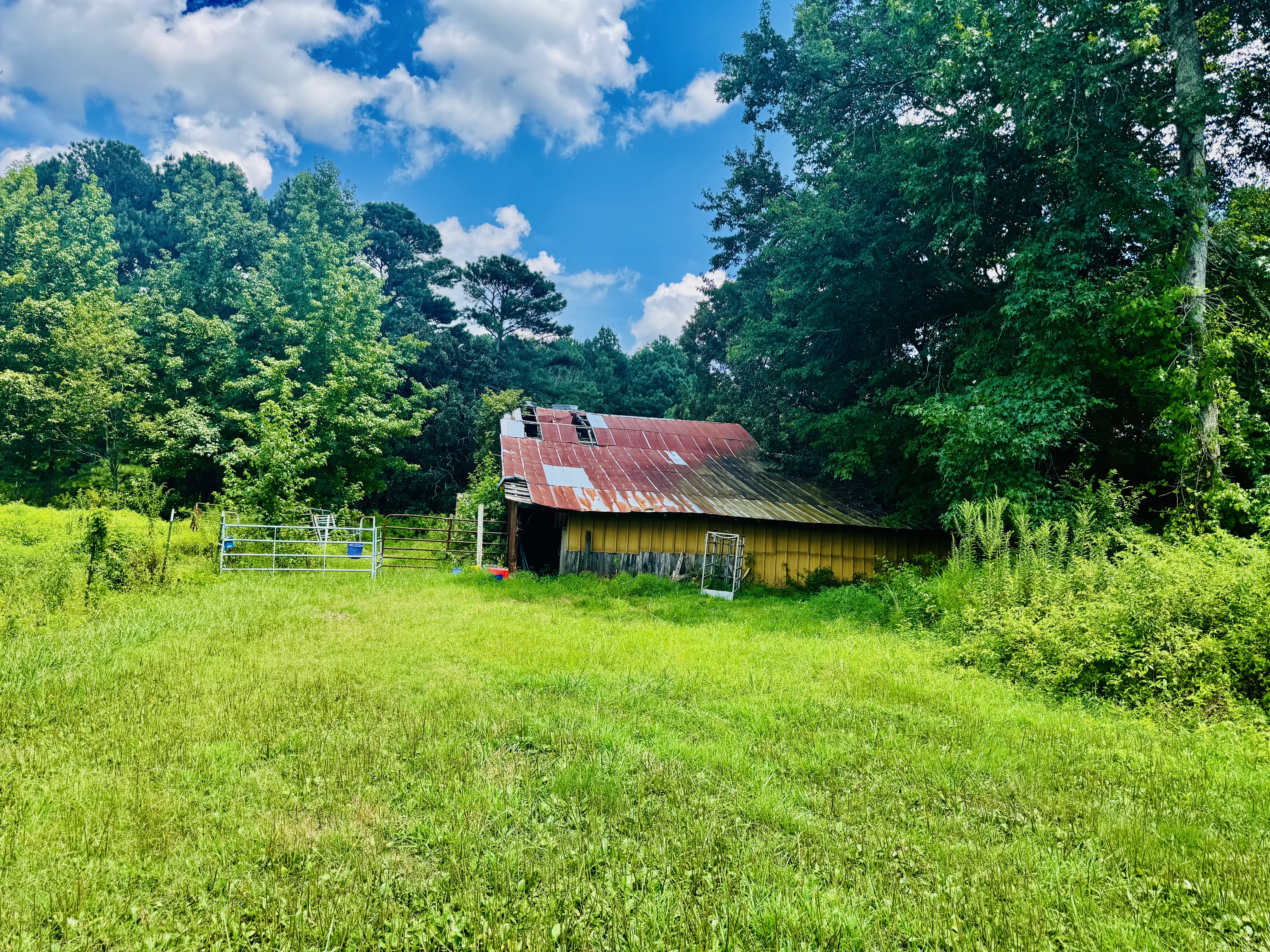 Athens, Alabama, 35613, United States, ,Residential,For Sale,1904529