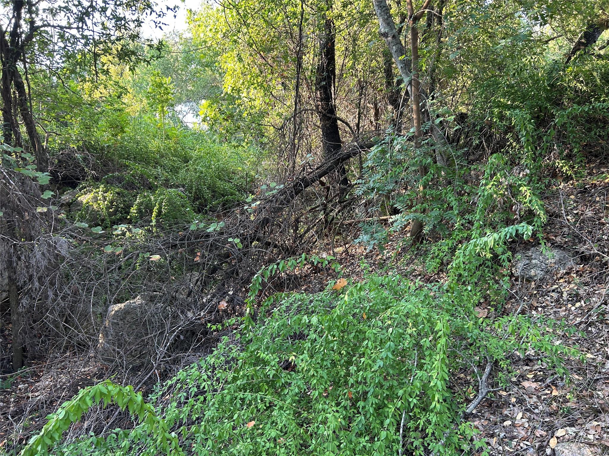 Austin, Texas, 78734, United States, 4 Bedrooms Bedrooms, ,2 BathroomsBathrooms,Residential,For Sale,1982359