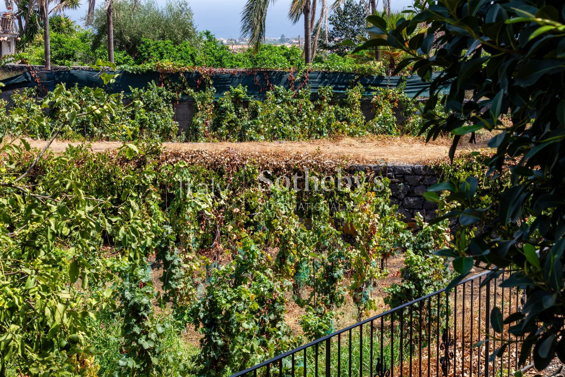  Elegant villa with a swimming pool and sea views in Acireale - 物件實景