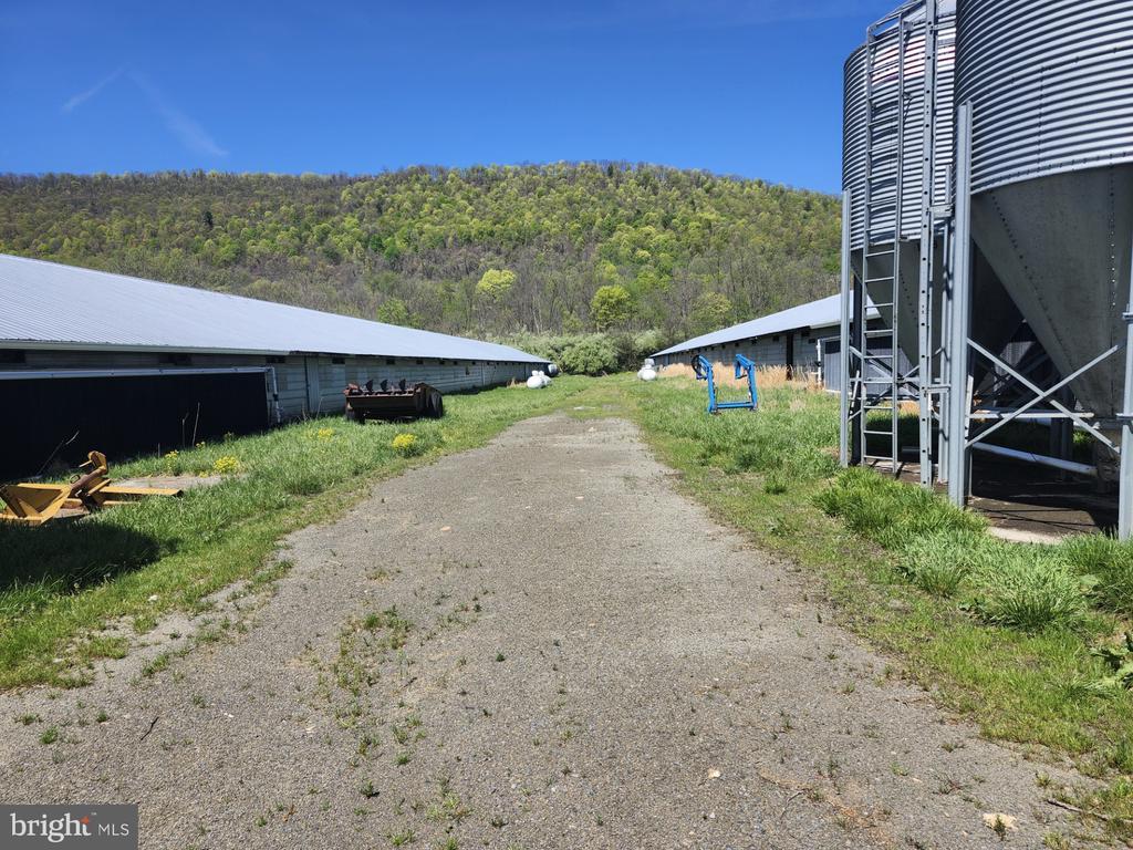 MAYSVILLE, West Virginia, 26833, United States, ,Residential,For Sale,1784747
