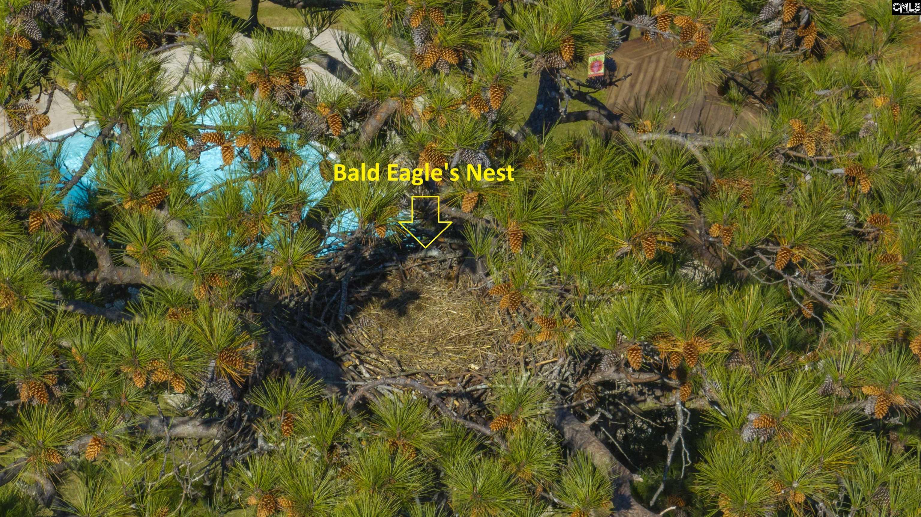 Chapin, South Carolina, 29036, United States, 4 Bedrooms Bedrooms, ,3 BathroomsBathrooms,Residential,For Sale,1989454