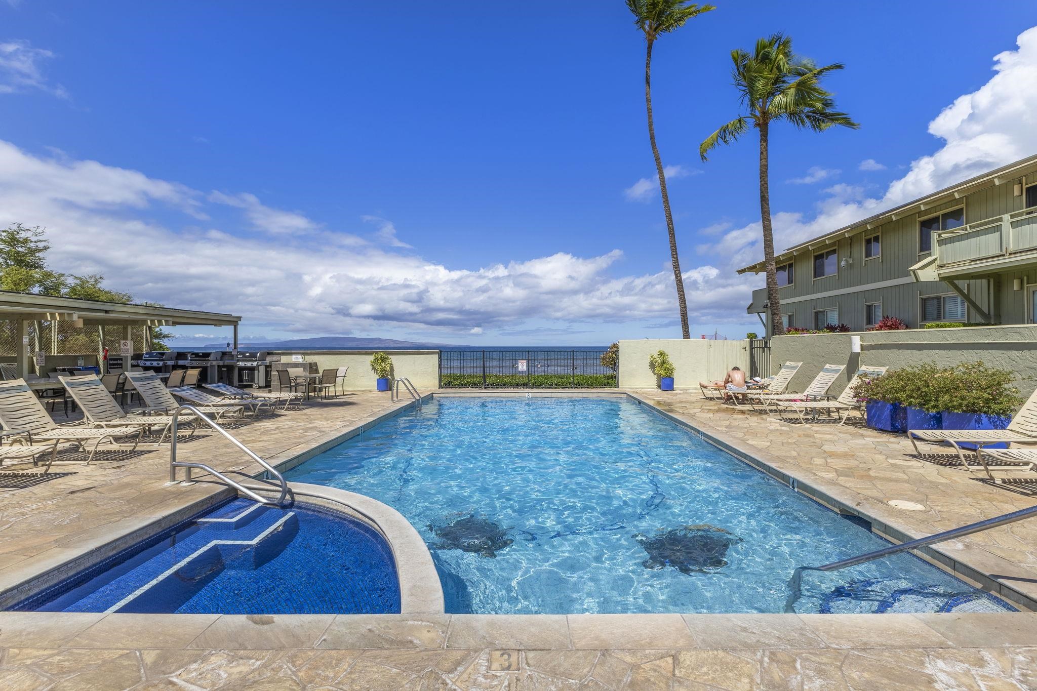 Kihei, Hawaii, 96753, United States, 1 Bedroom Bedrooms, ,1 BathroomBathrooms,Residential,For Sale,1866954