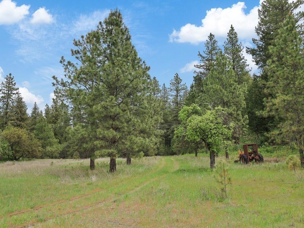 Marshall, Washington, 99020, United States, 3 Bedrooms Bedrooms, ,1 BathroomBathrooms,Residential,For Sale,1839114