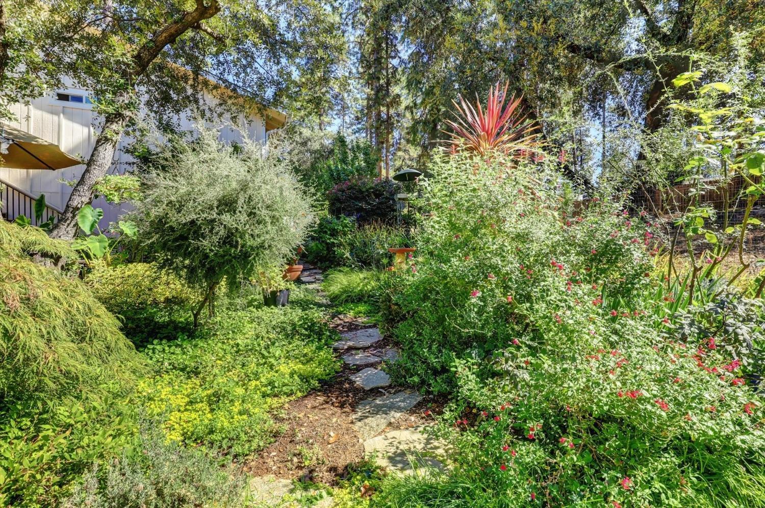 12252 Francis Drive, Grass Valley, California, 95949, United States, 3 Bedrooms Bedrooms, ,2 BathroomsBathrooms,Residential,For Sale,12252 Francis Drive,1631801