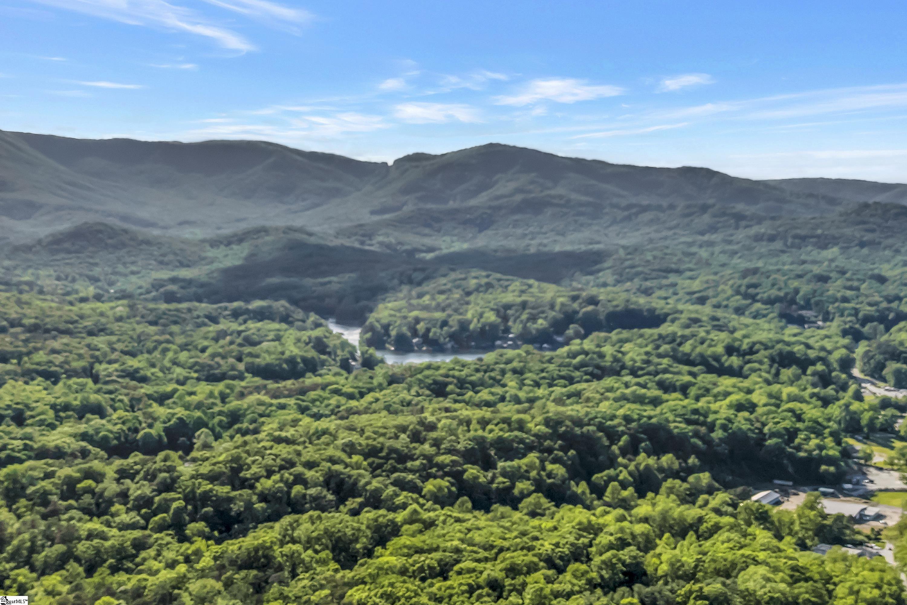 Landrum, South Carolina, 29356, United States, 3 Bedrooms Bedrooms, ,3 BathroomsBathrooms,Residential,For Sale,1948033