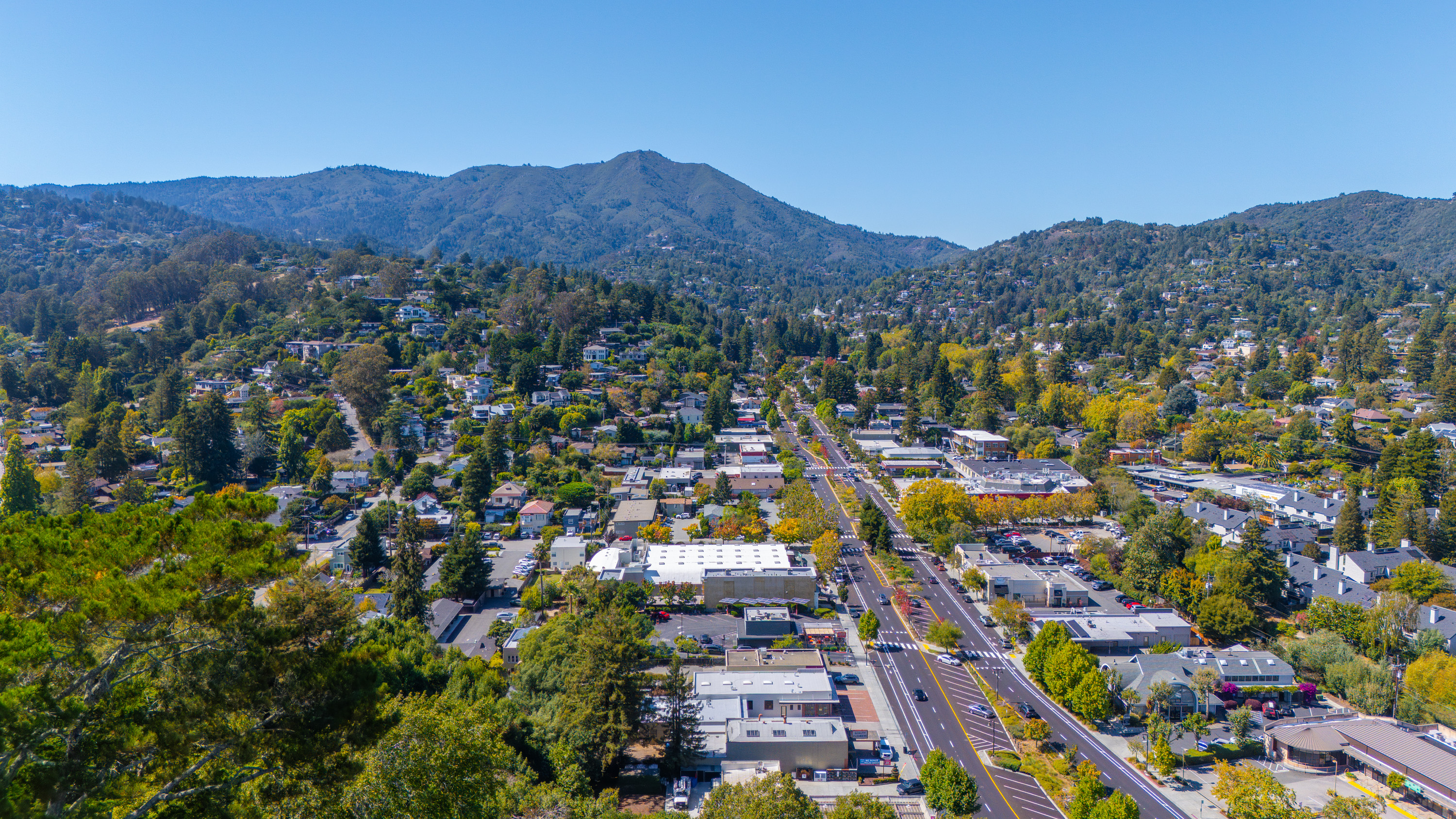  Exceptional Mill Valley Lot with Expired Approved Plans - 物件實景