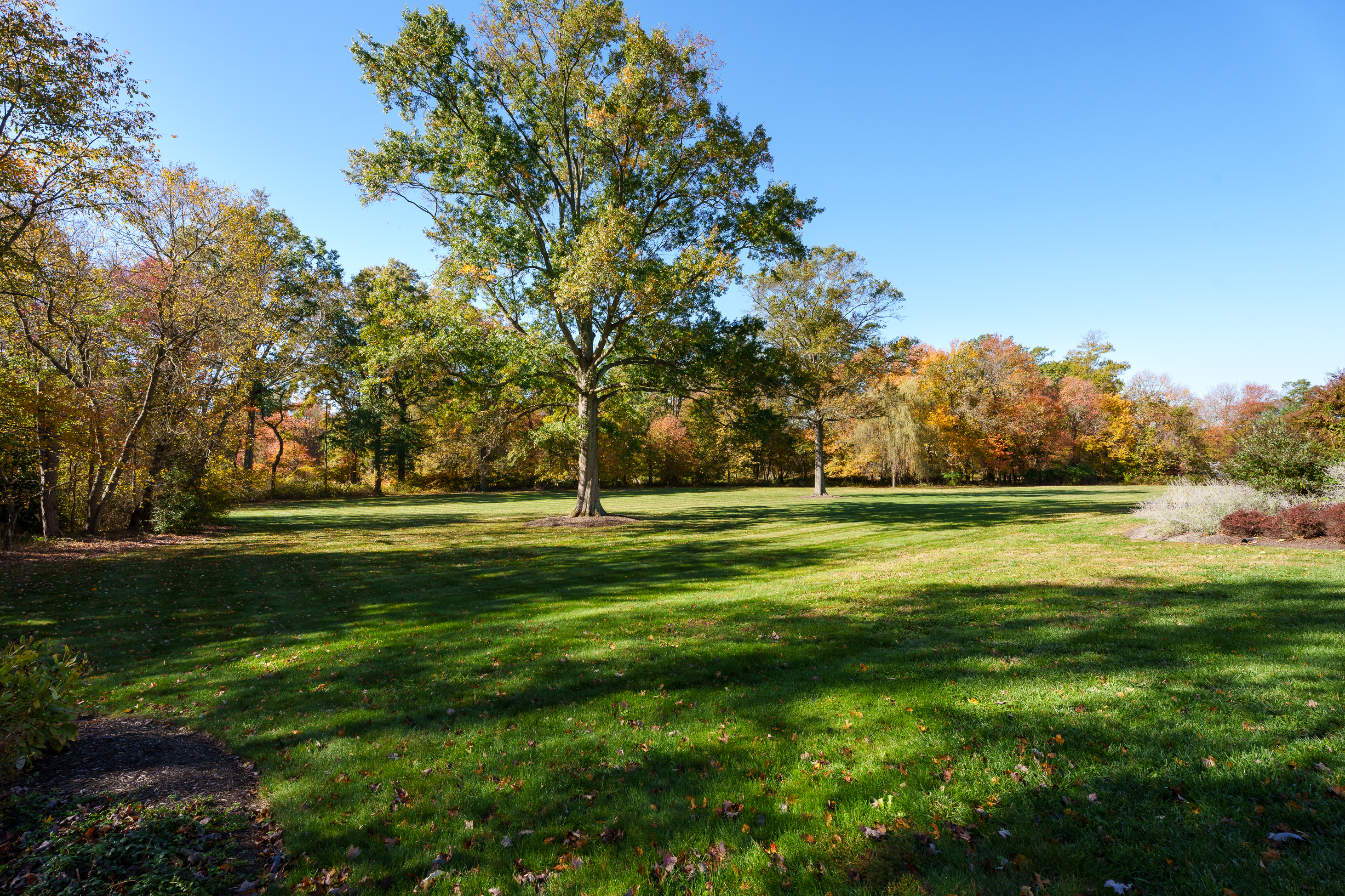  A Retreat that Redefines Luxury Living - 物件實景