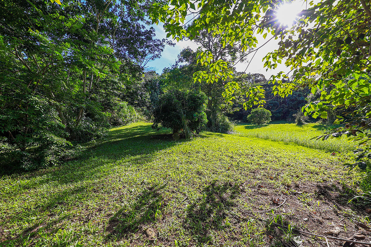 6828-B KUAMOO RD 2, Kapaa, Hawaii, 96746, United States, ,Land,For Sale,6828-B KUAMOO RD 2,1672725