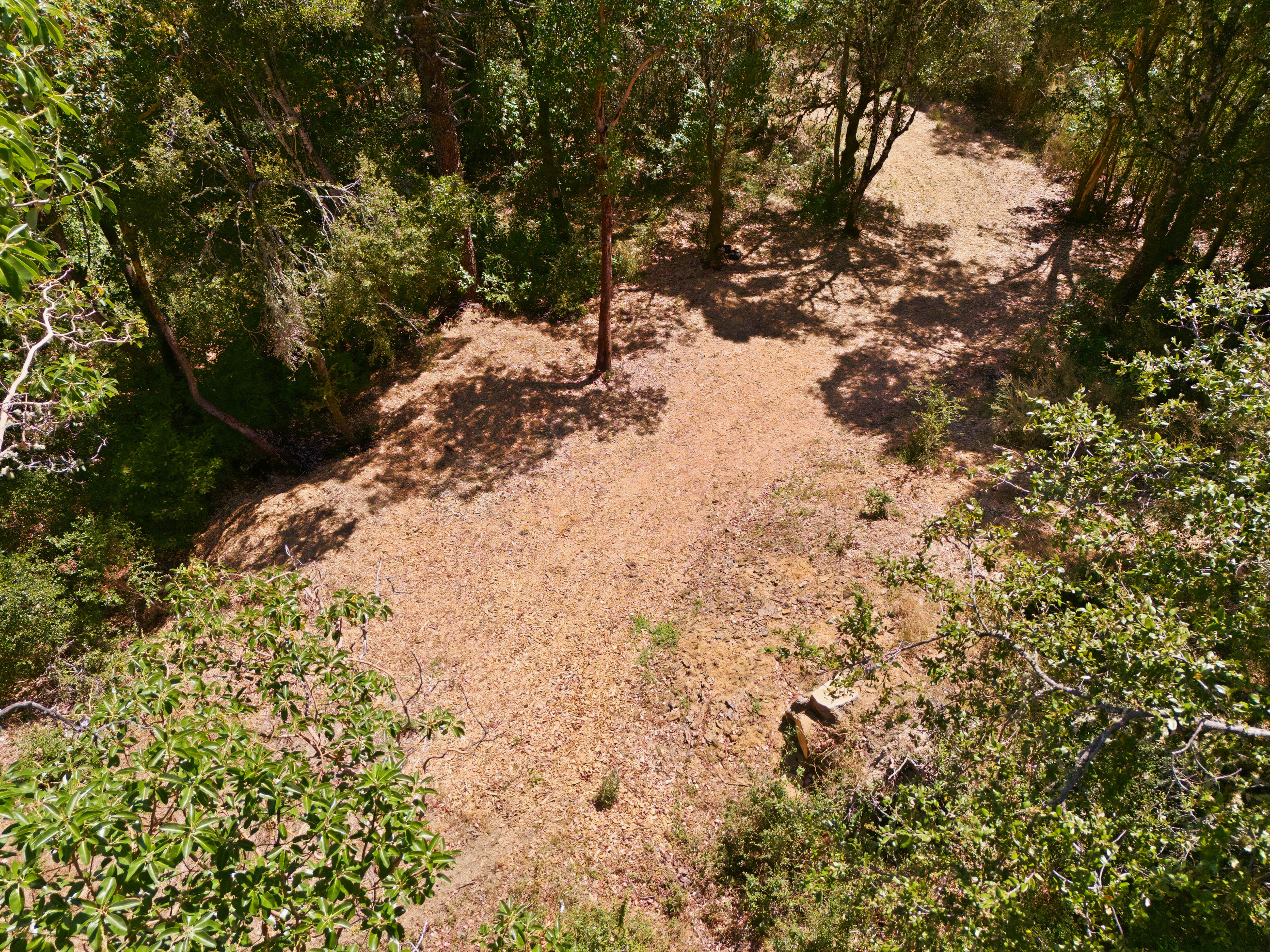  Exceptional Five-Acre Estate Opportunity with Bay Area Views - 物件實景