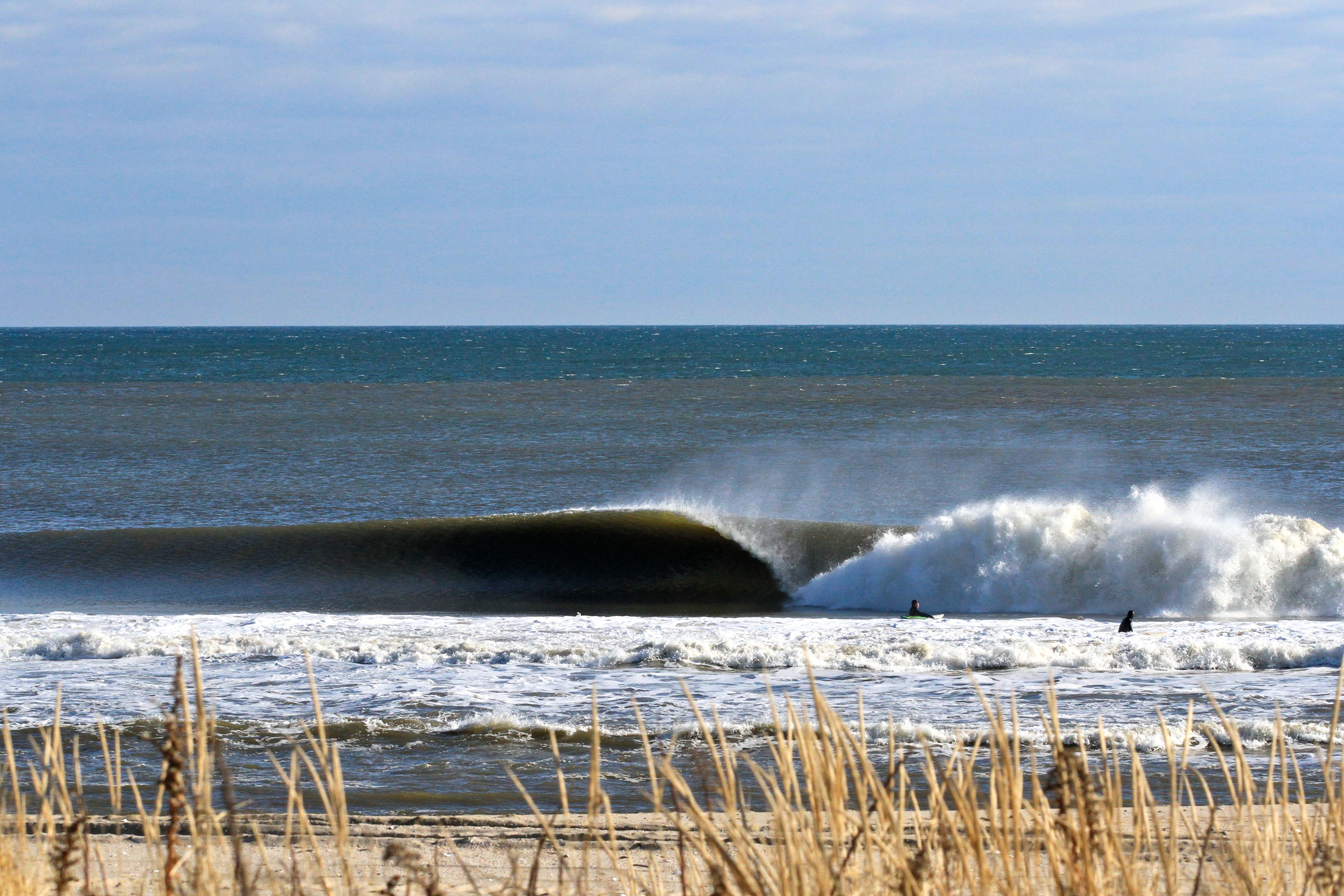  Oceanport Gem - 物件實景
