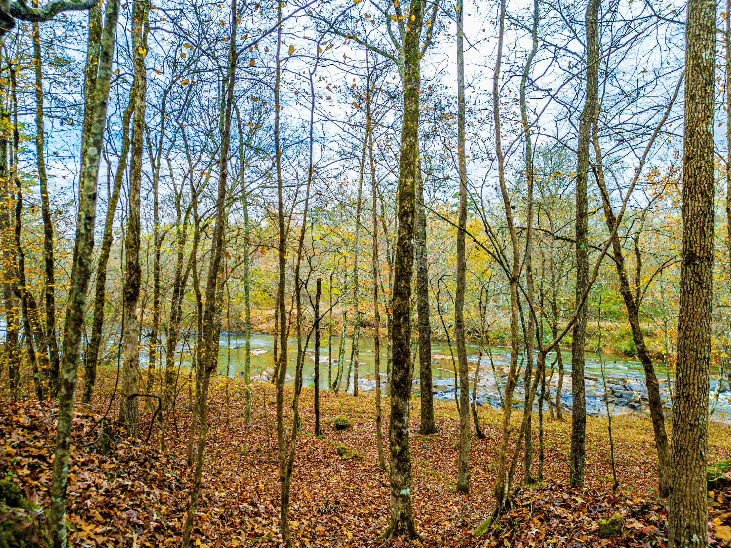 6.04 ac LINCHBURG ROAD, Eatonton, Georgia, 31024, United States, ,Land,For Sale,6.04 ac LINCHBURG ROAD,1683255
