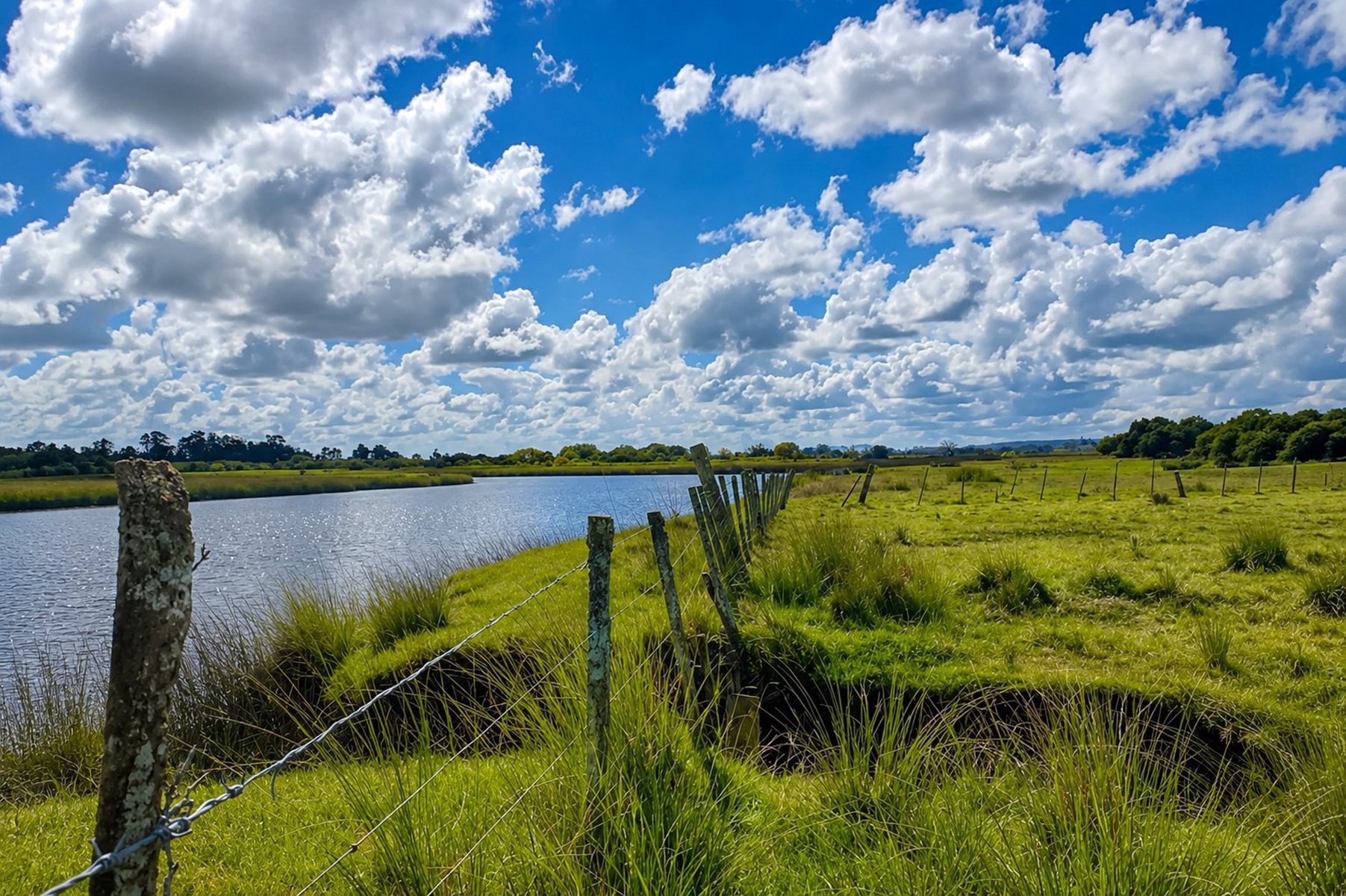  Exclusive Field of 34 Hectares in Maldonado - 物件實景