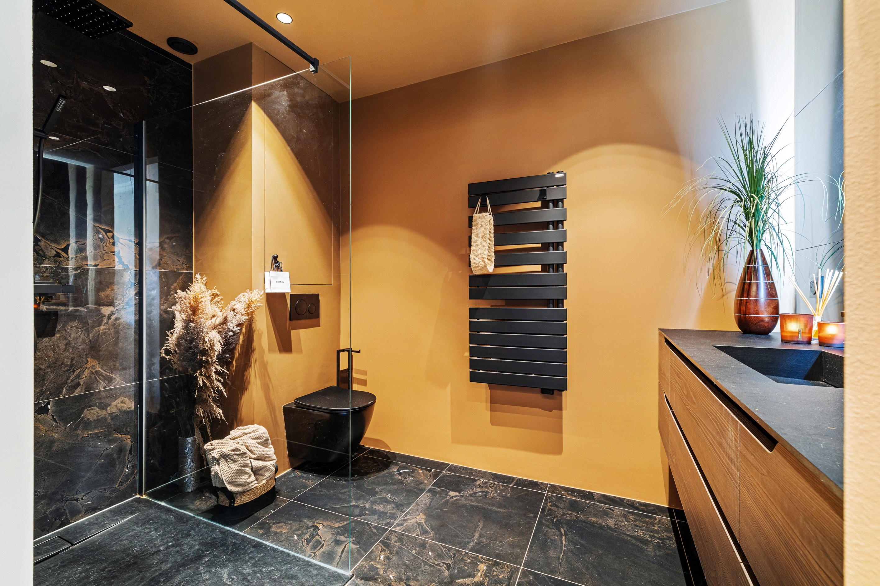  Nice Coulée Verte, Grand Hôtel : renovated 3-bedroom apartment with terrace - 物件實景