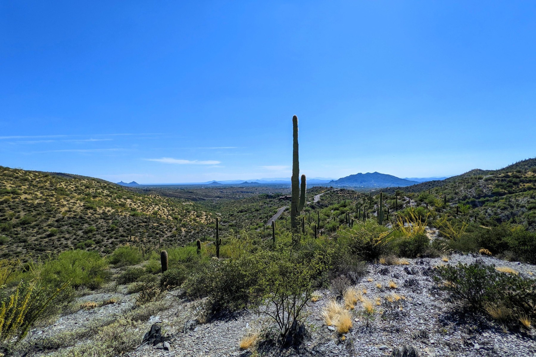  9146 E Limousin Drive¦Scottsdale, AZ - 物件實景