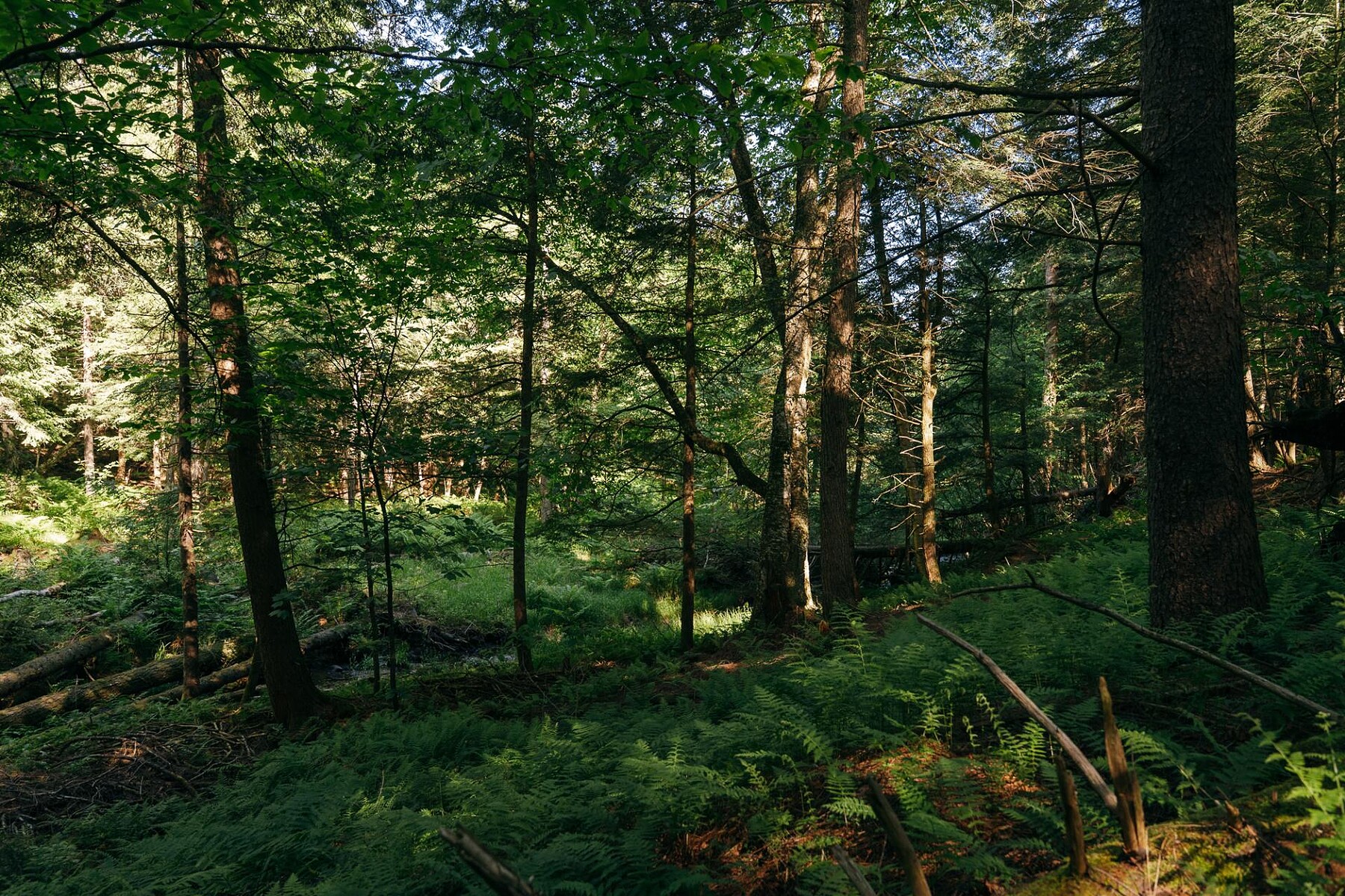  Sutton, Eastern Townships - 物件實景