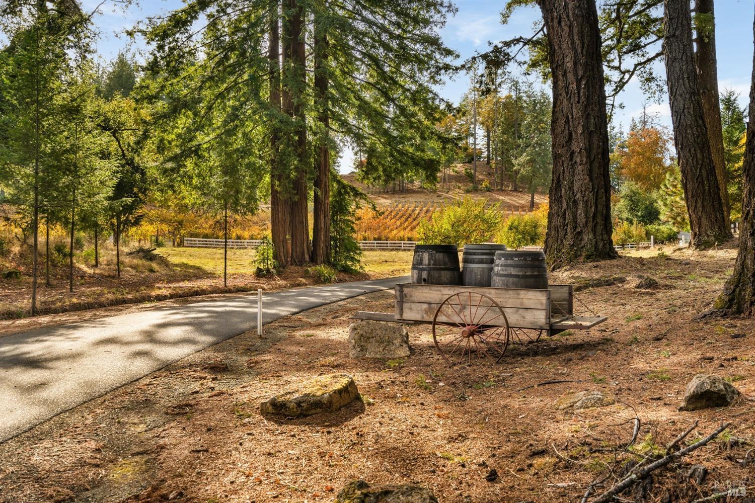 Angwin, California, 94508, United States, 3 Bedrooms Bedrooms, ,4 BathroomsBathrooms,Residential,For Sale,1836734