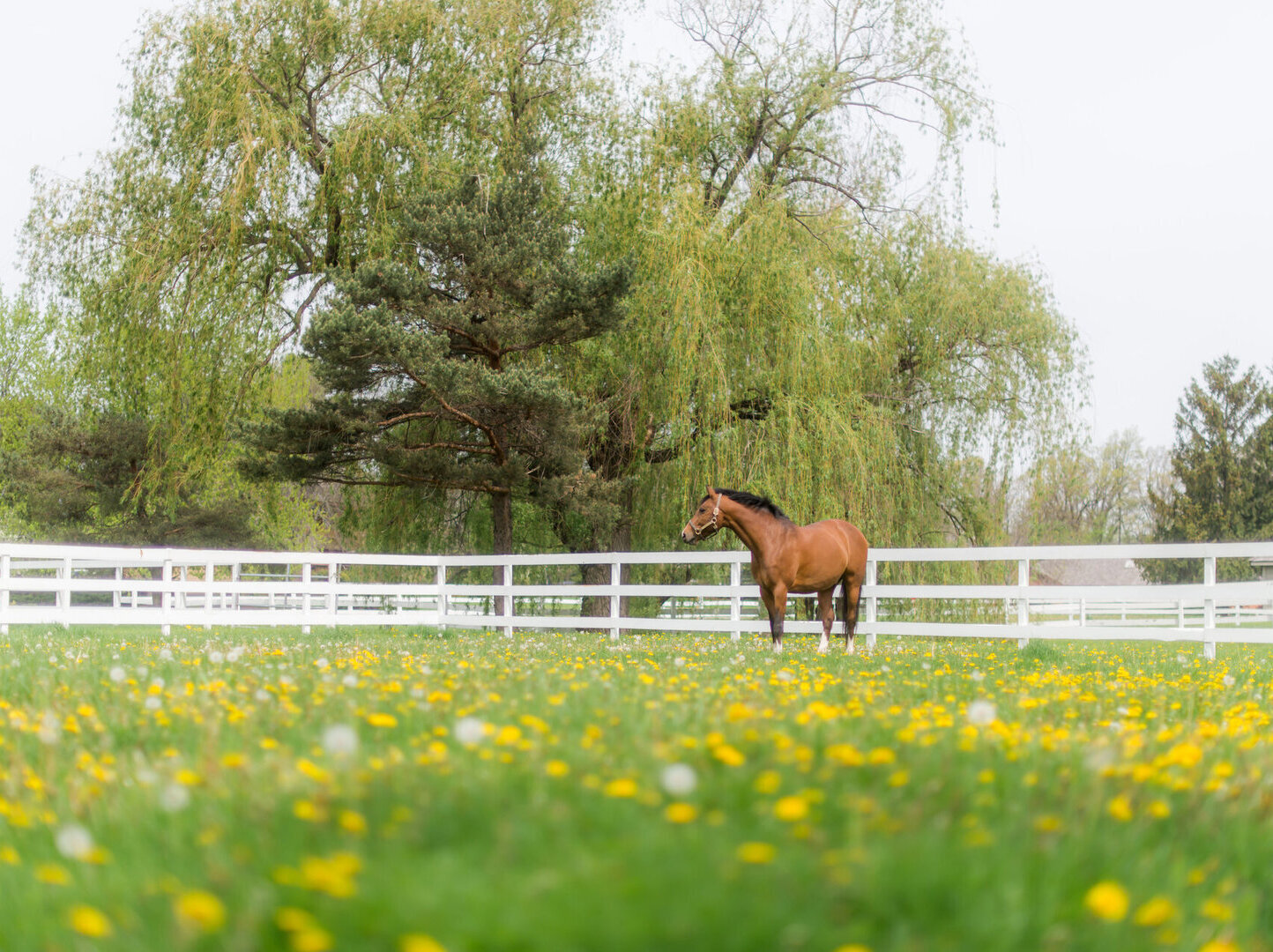 Green Oaks, Illinois, 60048, United States, ,Land,For Sale,1980165