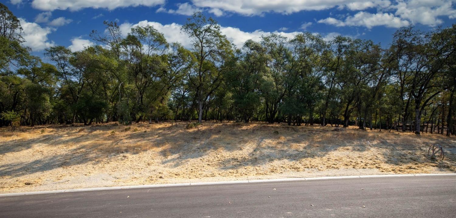 El Dorado Hills, California, 95762, United States, ,Land,For Sale,1993155