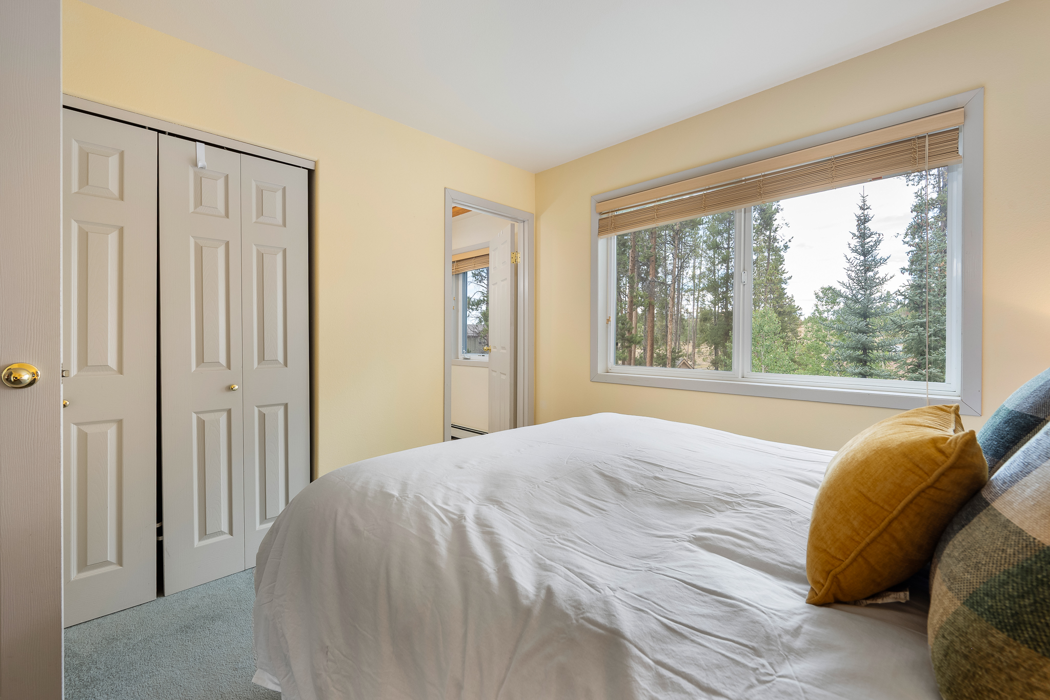  753 Mulligan, Fraser, CO, 80442 - 物件實景