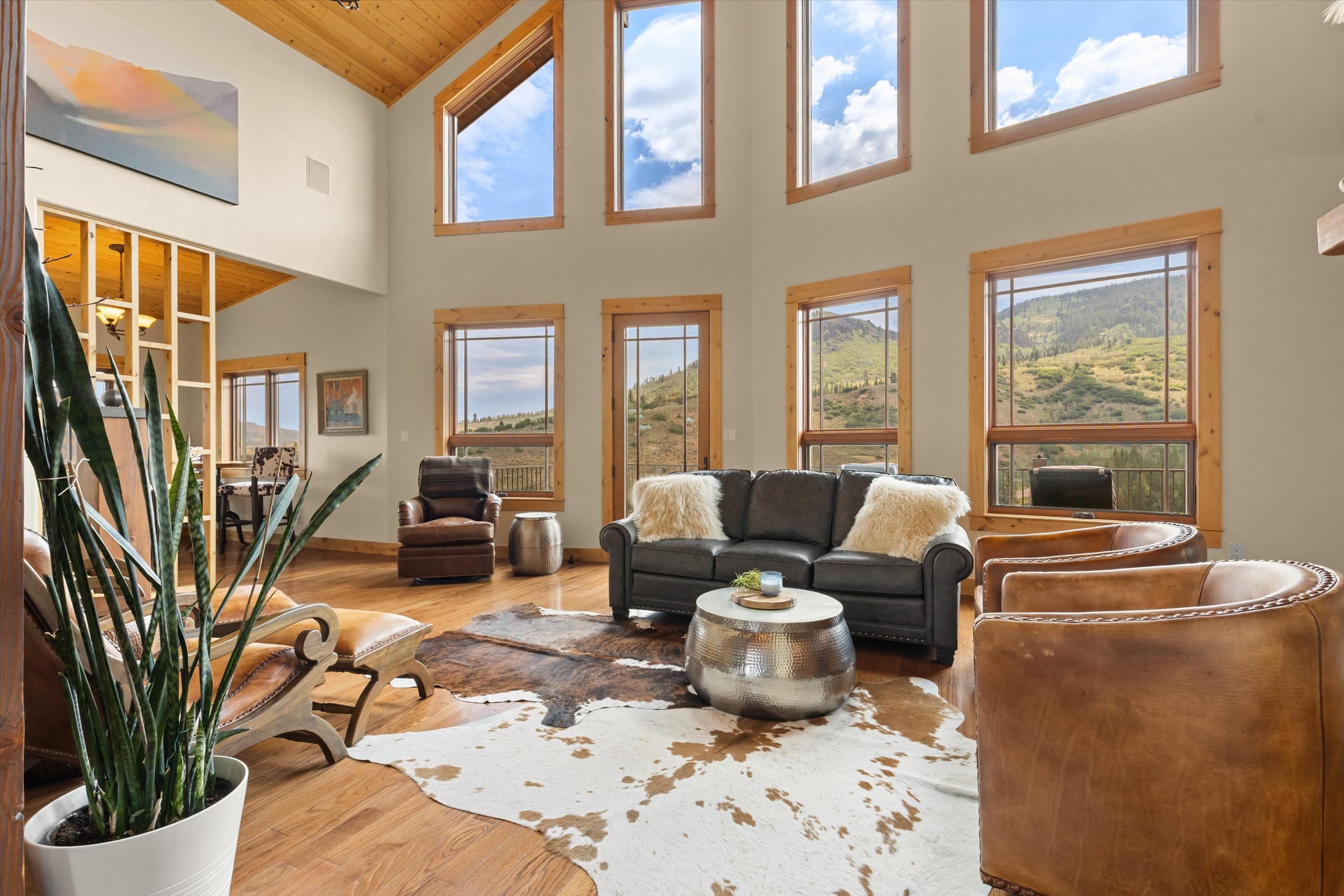  23020 Lynx Basin Lane, Oak Creek, CO 80467 - 物件實景