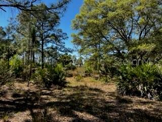 Punta Gorda, Florida, 33982, United States, ,Land,For Sale,1840783
