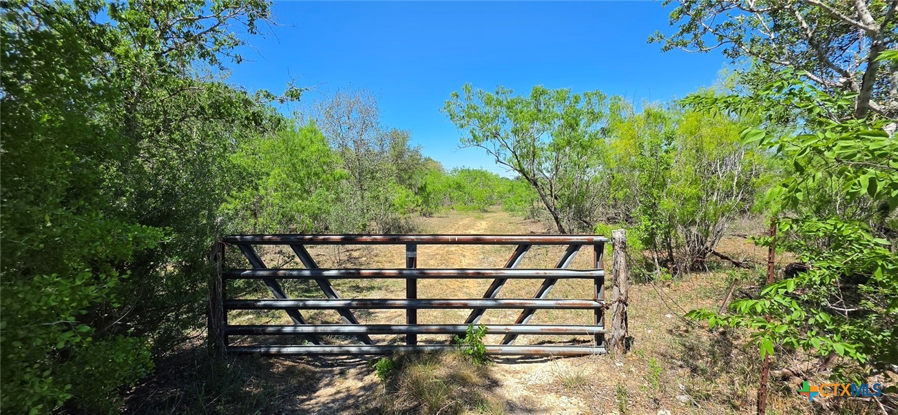 Seguin, Texas, 78155, United States, ,Land,For Sale,2048834