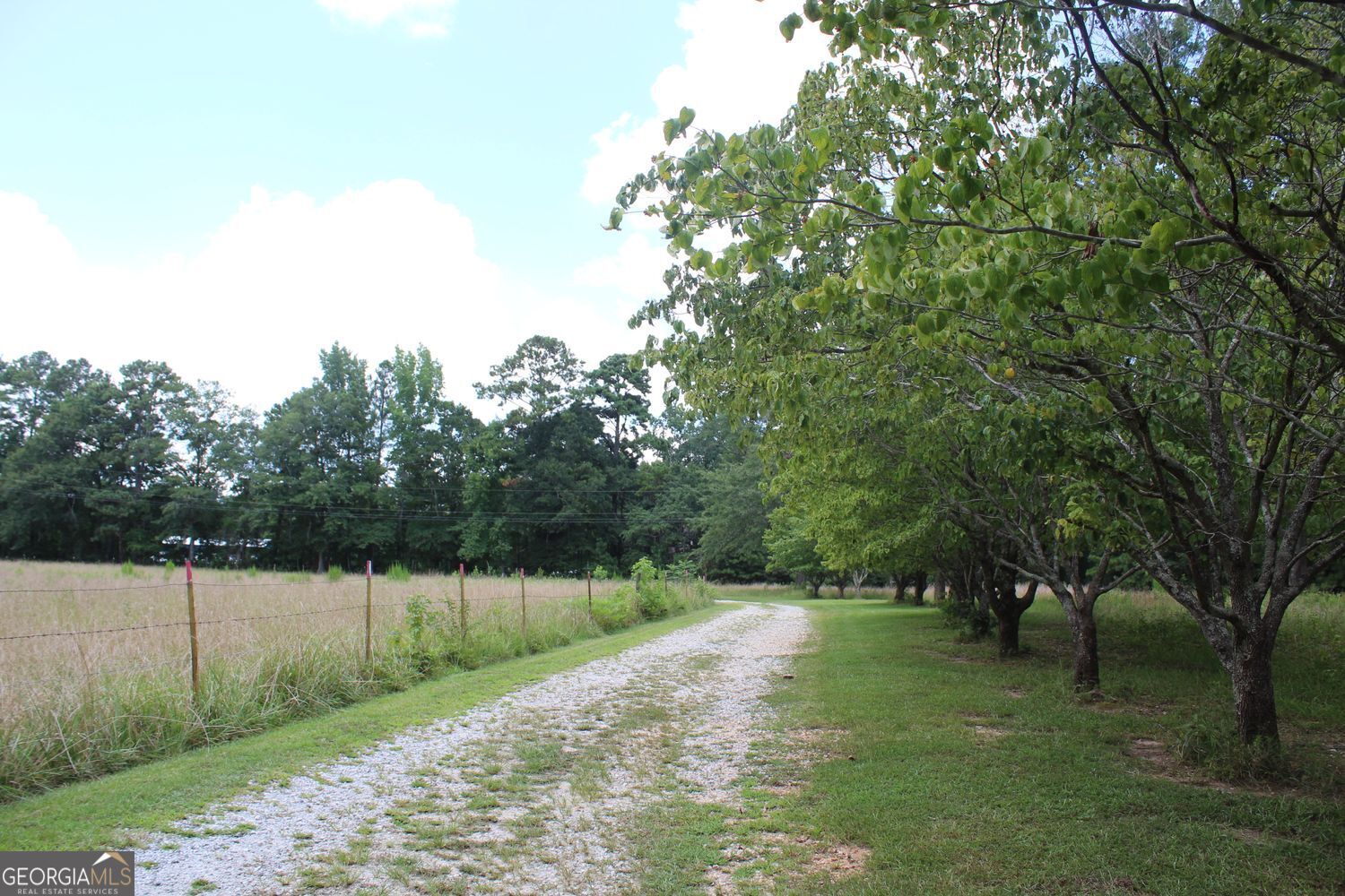 Hampton, Georgia, 30228, United States, 3 Bedrooms Bedrooms, ,2 BathroomsBathrooms,Residential,For Sale,1858879