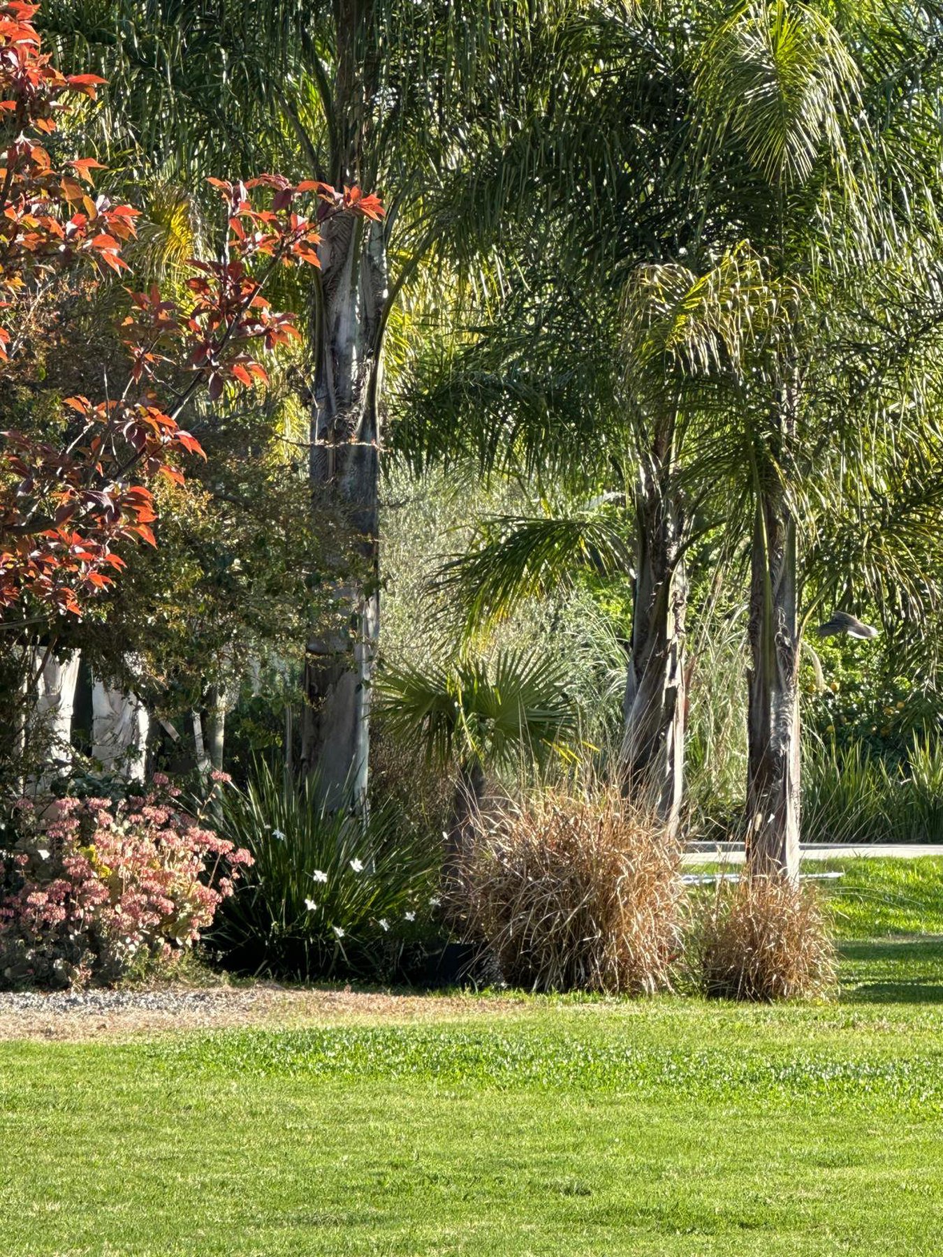  Elegant Country Home Near Colonia del Sacramento - 物件實景