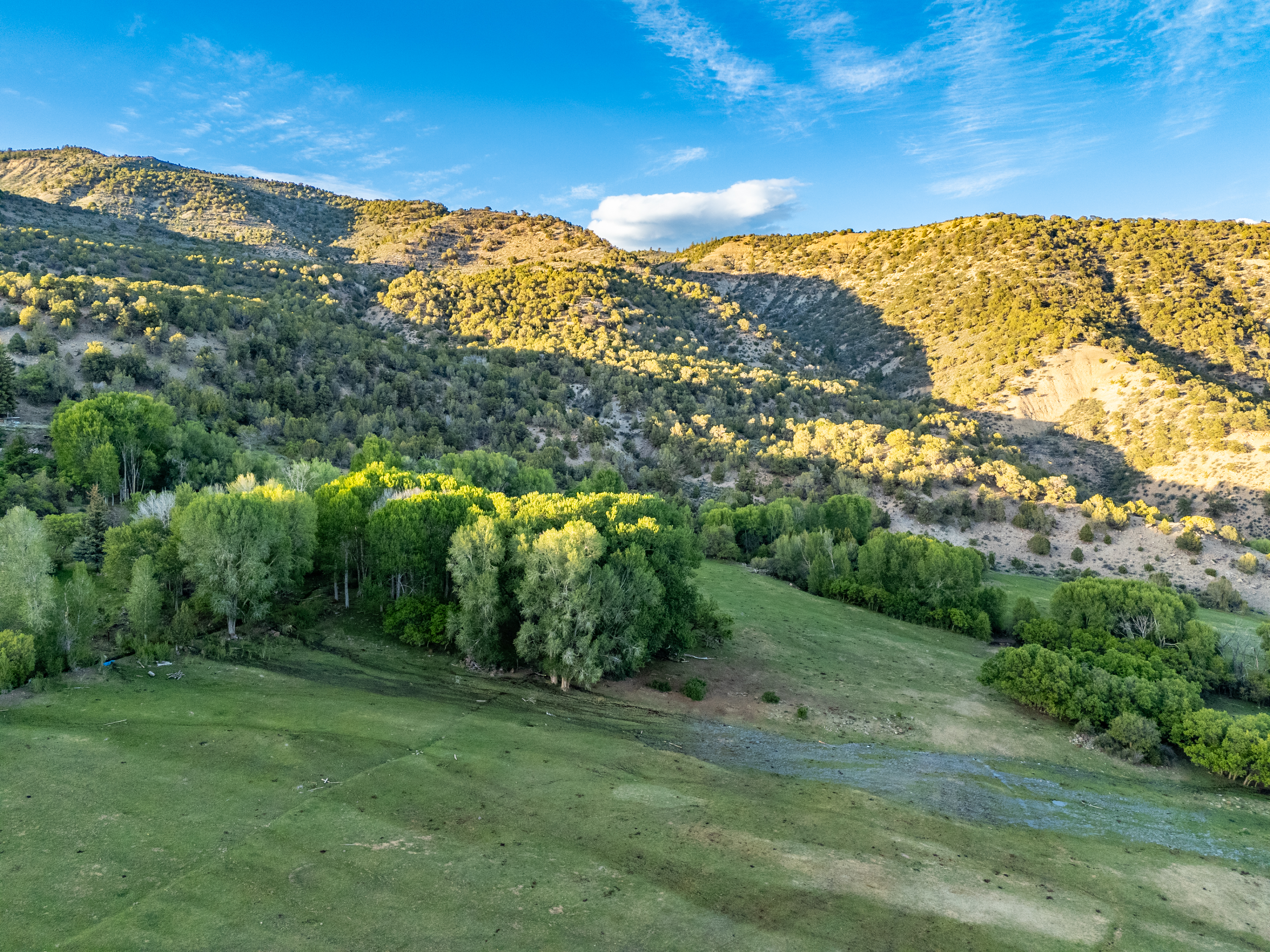  37 Acre Ranch with Water Rights and Panoramic Views - 物件實景