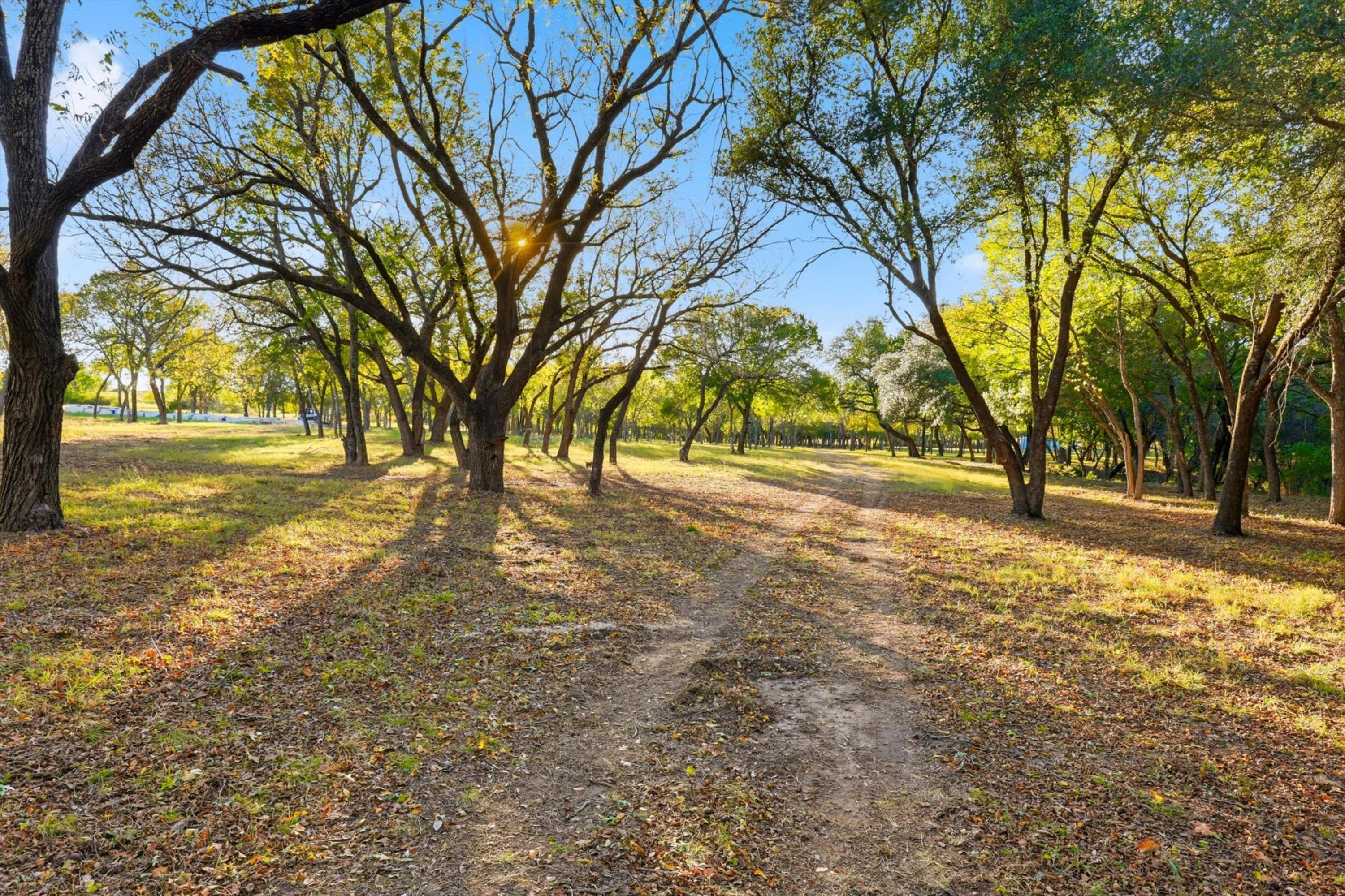 20 Acre Ranchette near luxury golf community in prestigious Aledo ISD - 物件實景